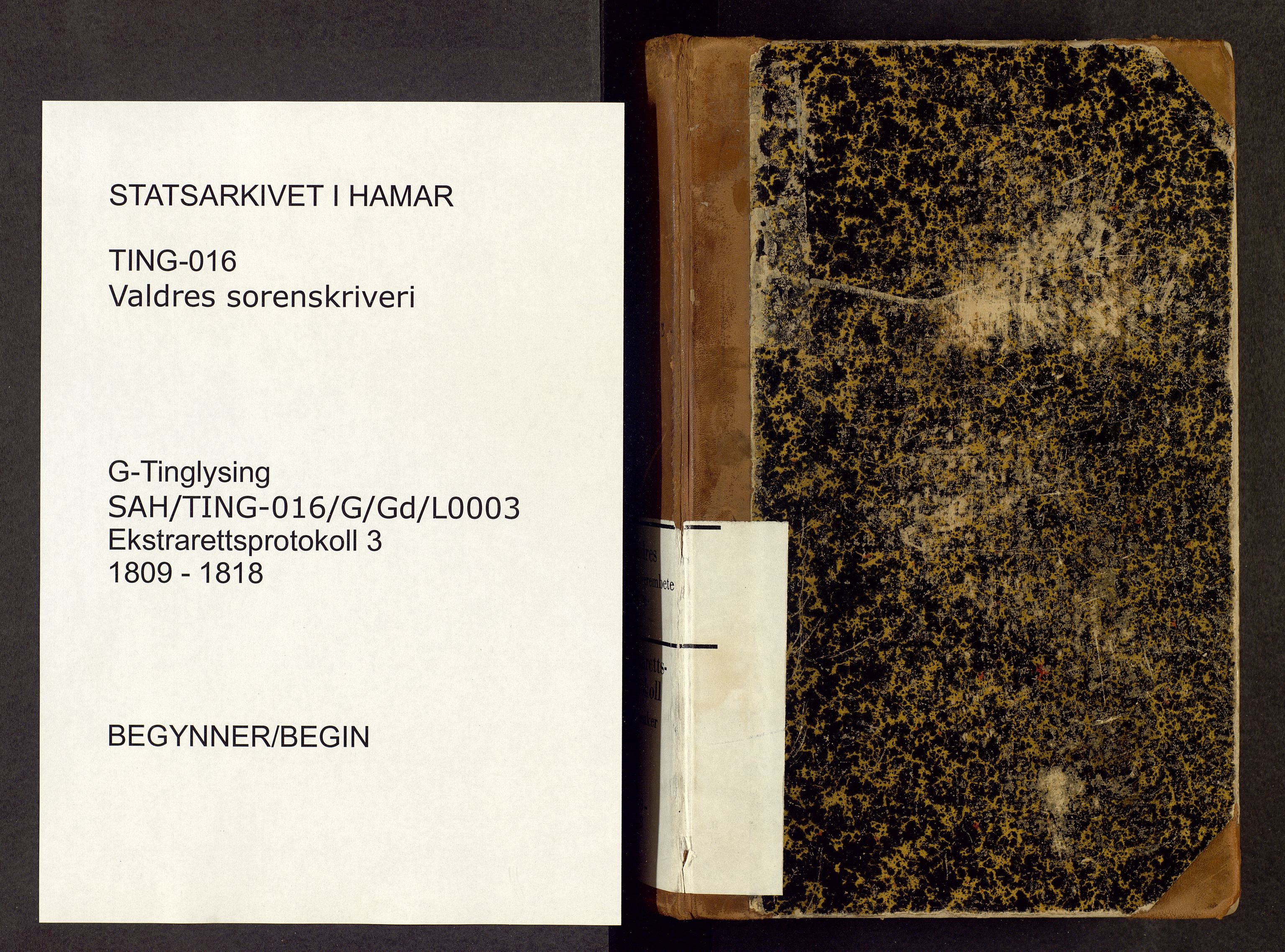 Valdres sorenskriveri, SAH/TING-016/G/Gd/L0003: Åstedsprotokoll, 1809-1818