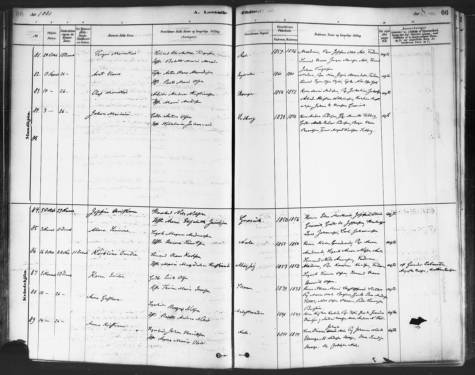 Onsøy prestekontor Kirkebøker, AV/SAO-A-10914/F/Fa/L0005: Ministerialbok nr. I 5, 1878-1898, s. 66