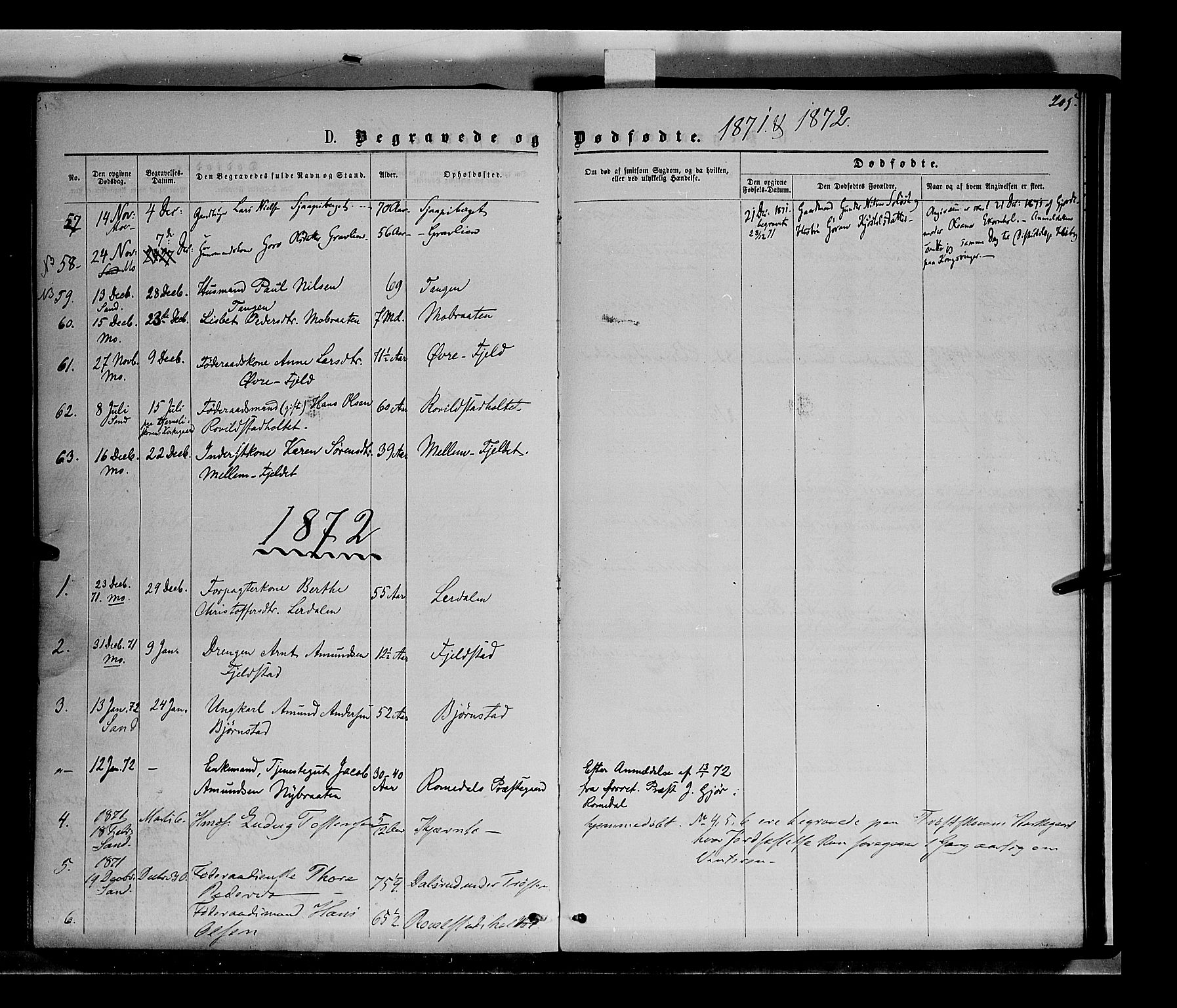 Nord-Odal prestekontor, AV/SAH-PREST-032/H/Ha/Haa/L0004: Ministerialbok nr. 4, 1866-1873, s. 205