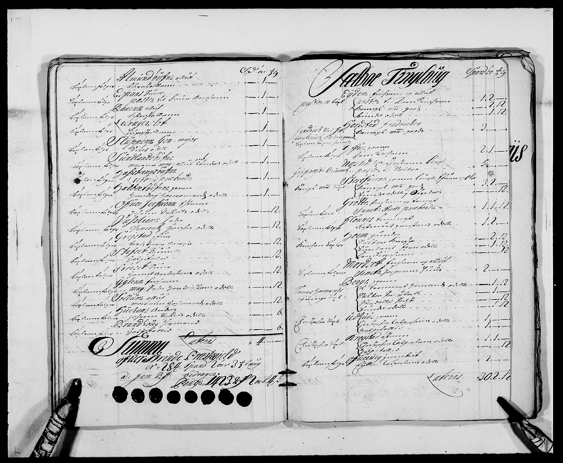 Rentekammeret inntil 1814, Reviderte regnskaper, Fogderegnskap, AV/RA-EA-4092/R61/L4102: Fogderegnskap Strinda og Selbu, 1689-1690, s. 161
