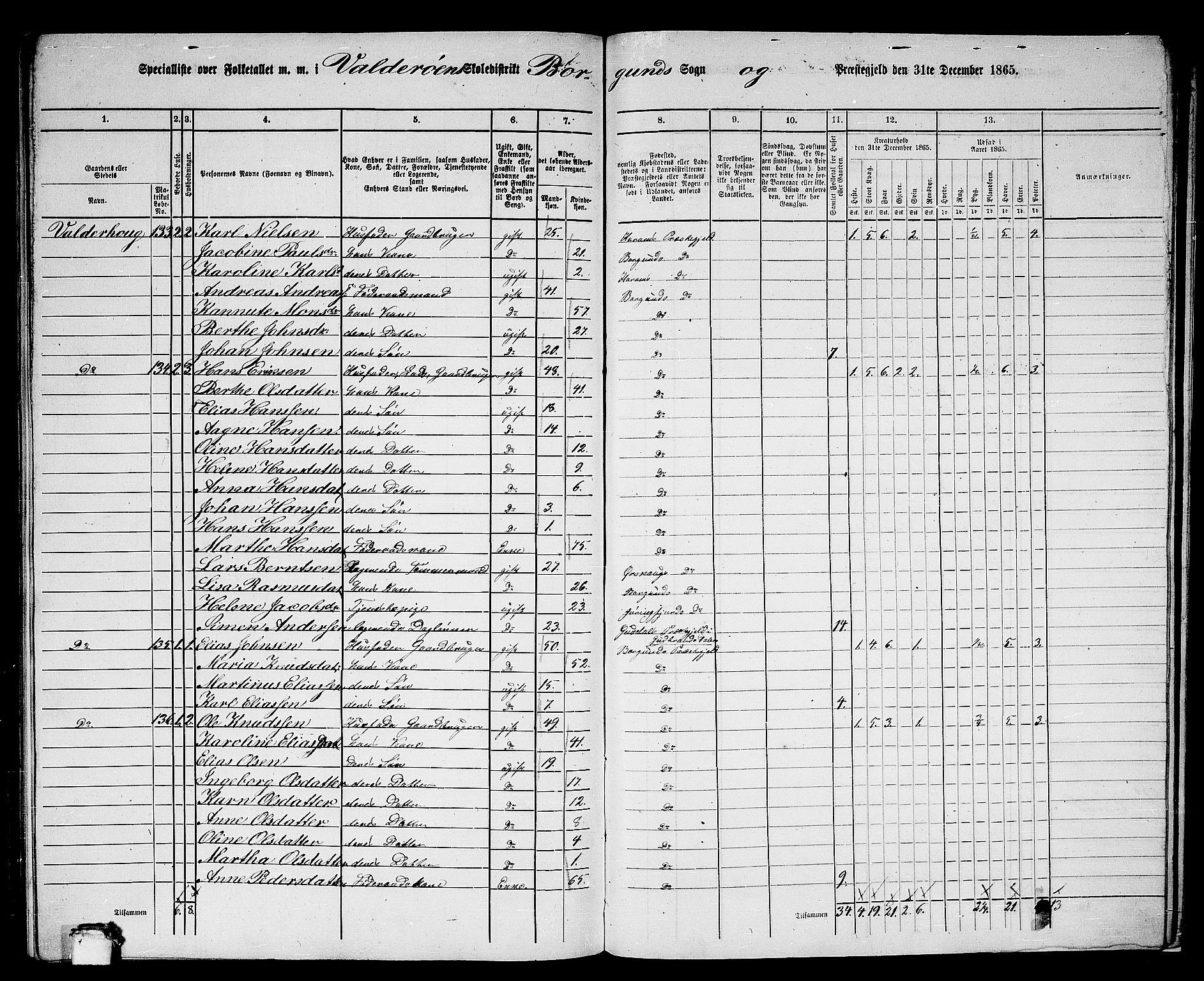 RA, Folketelling 1865 for 1531P Borgund prestegjeld, 1865, s. 244