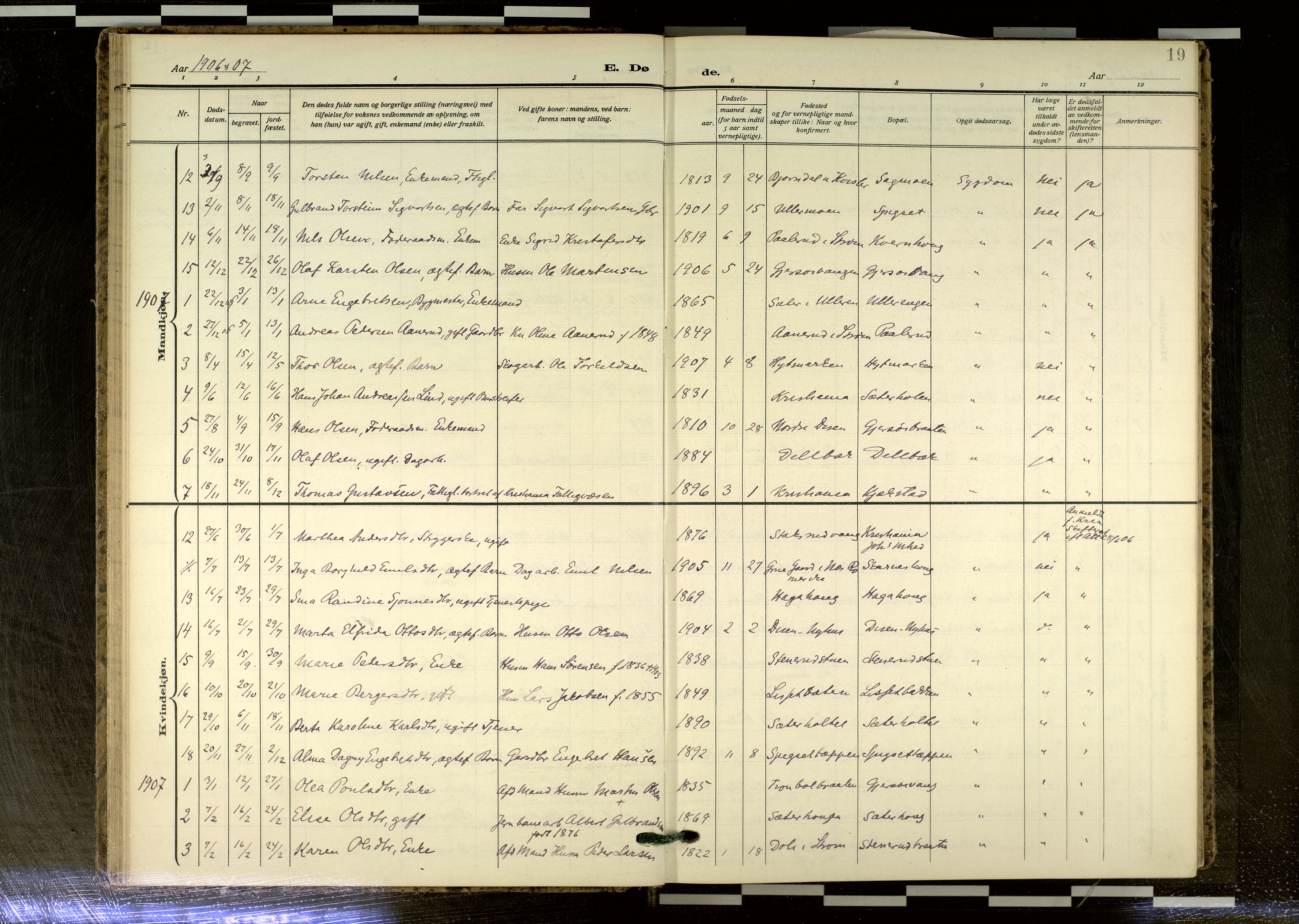 Sør-Odal prestekontor, AV/SAH-PREST-030/H/Ha/Haa/L0020: Ministerialbok nr. 20, 1906-2012, s. 19