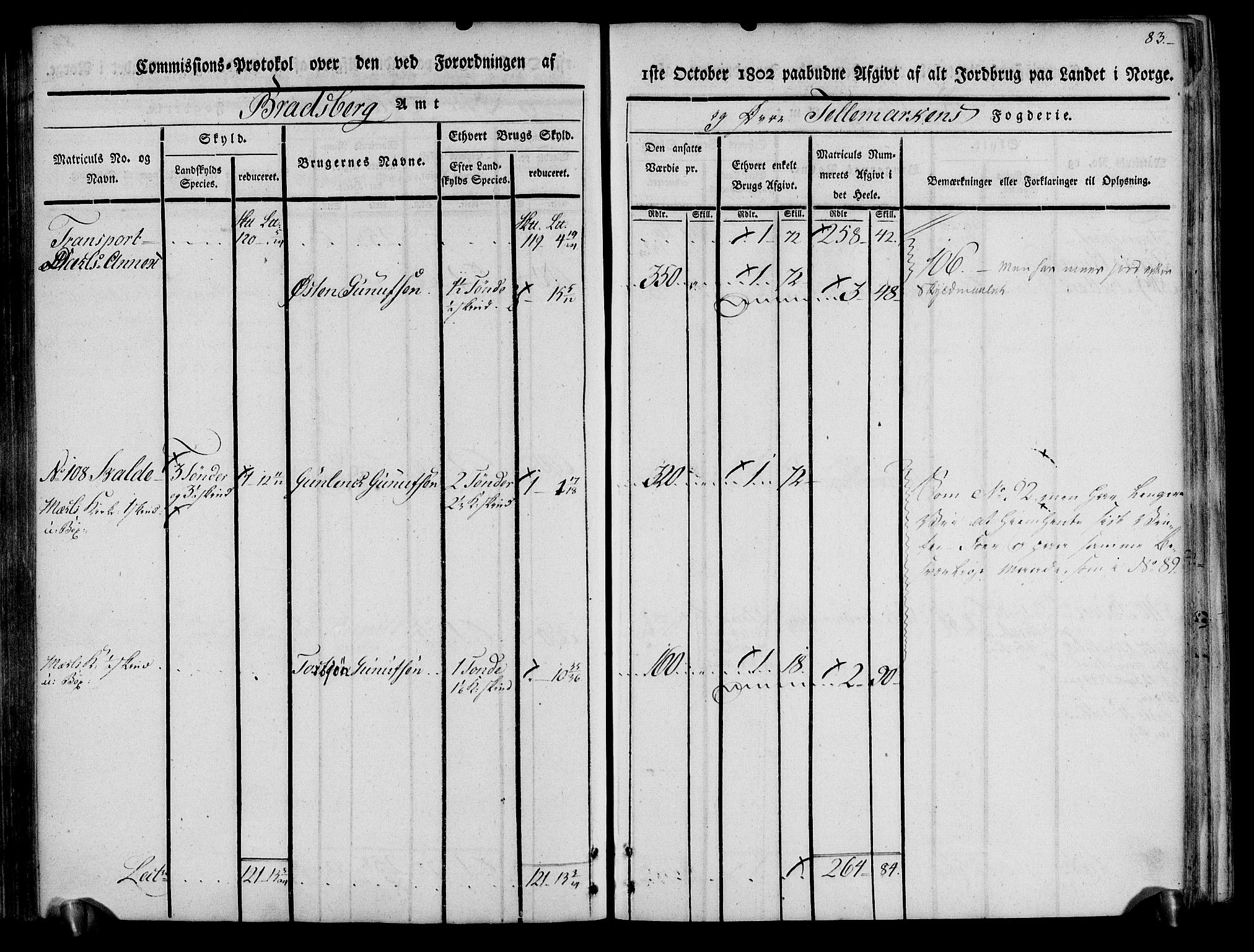 Rentekammeret inntil 1814, Realistisk ordnet avdeling, AV/RA-EA-4070/N/Ne/Nea/L0074: Øvre Telemarken fogderi. Kommisjonsprotokoll for fogderiets østre del - Tinn, Hjartdal og Seljord prestegjeld., 1803, s. 83