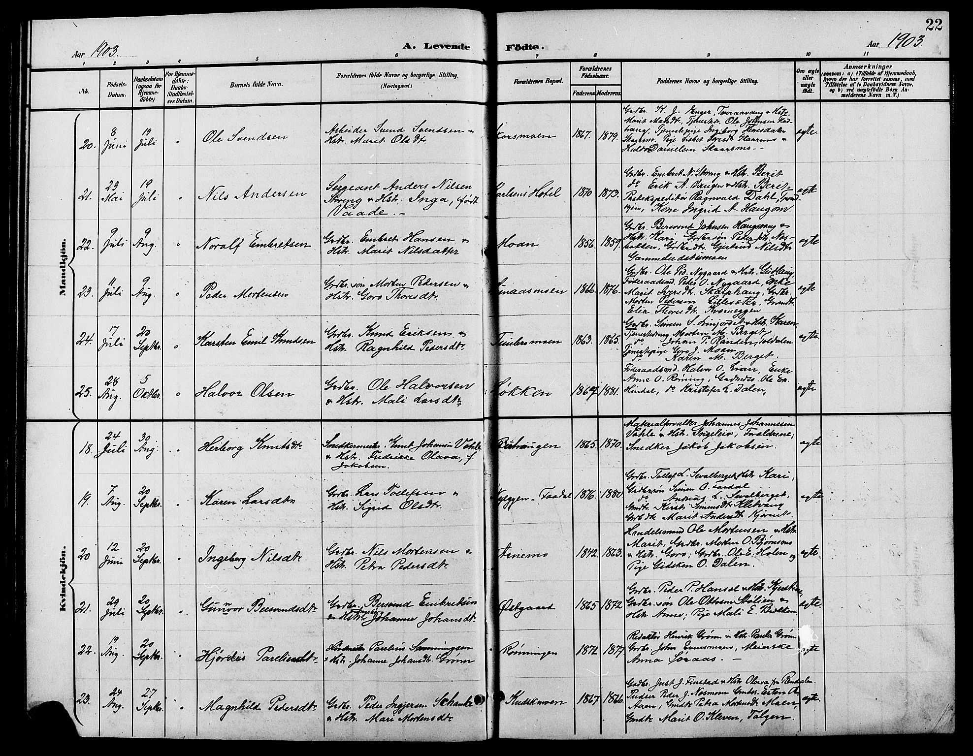 Tynset prestekontor, AV/SAH-PREST-058/H/Ha/Hab/L0009: Klokkerbok nr. 9, 1900-1914, s. 22