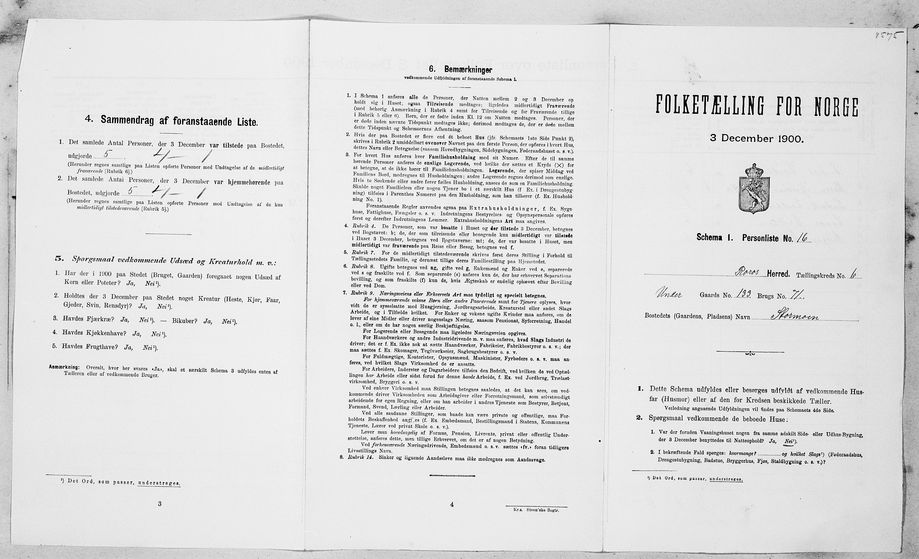 SAT, Folketelling 1900 for 1640 Røros herred, 1900, s. 796