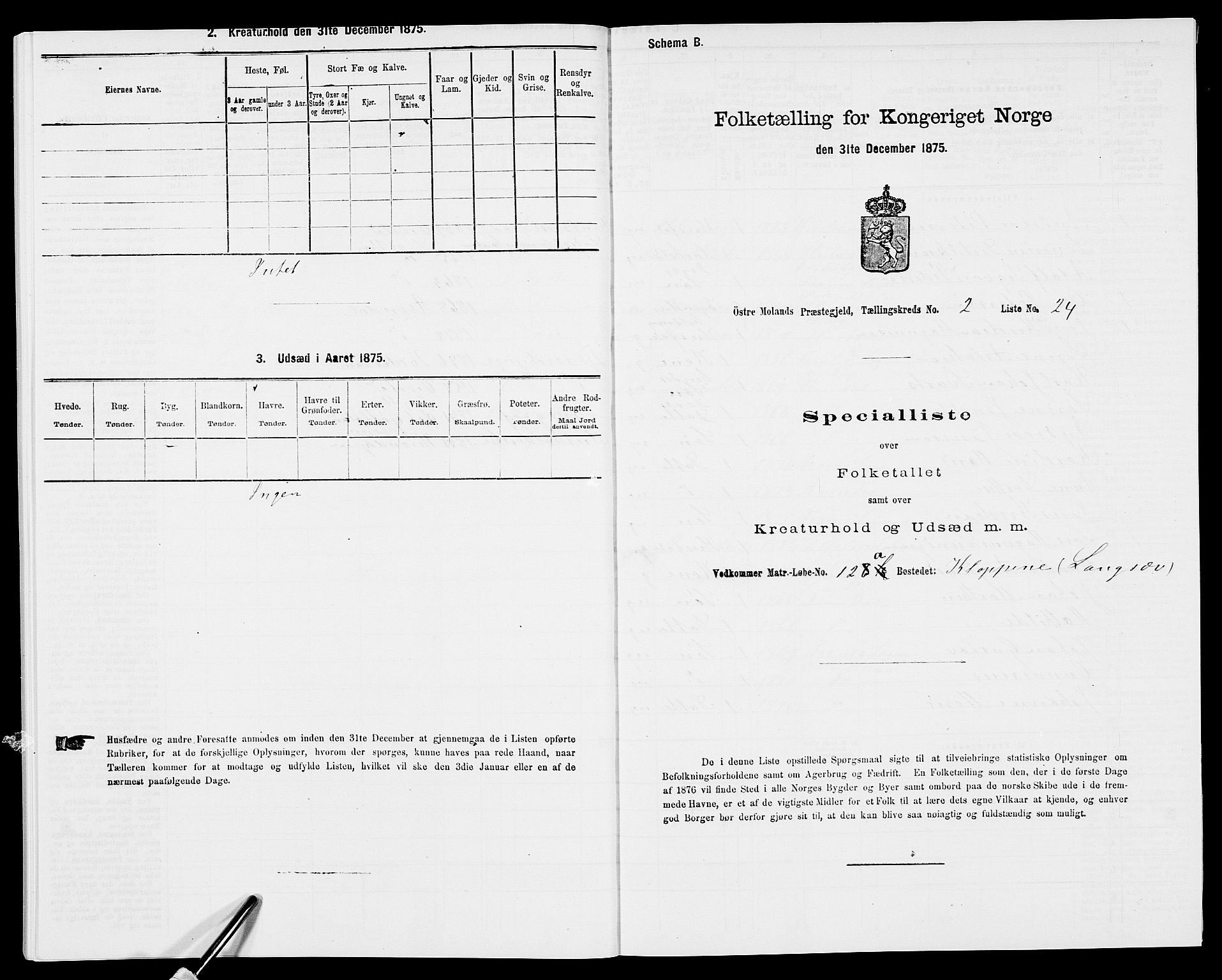 SAK, Folketelling 1875 for 0918P Austre Moland prestegjeld, 1875, s. 507