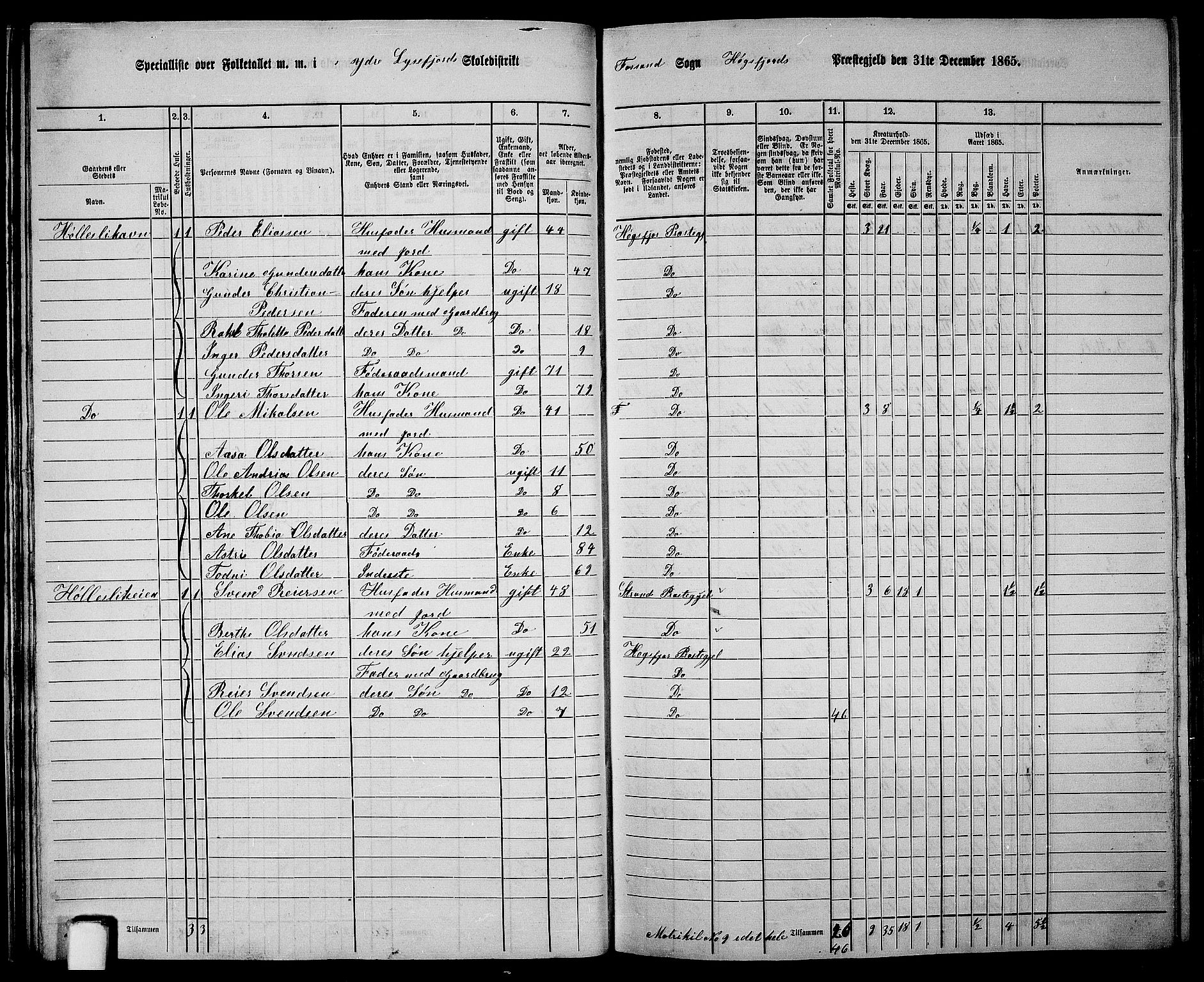 RA, Folketelling 1865 for 1128P Høgsfjord prestegjeld, 1865, s. 21