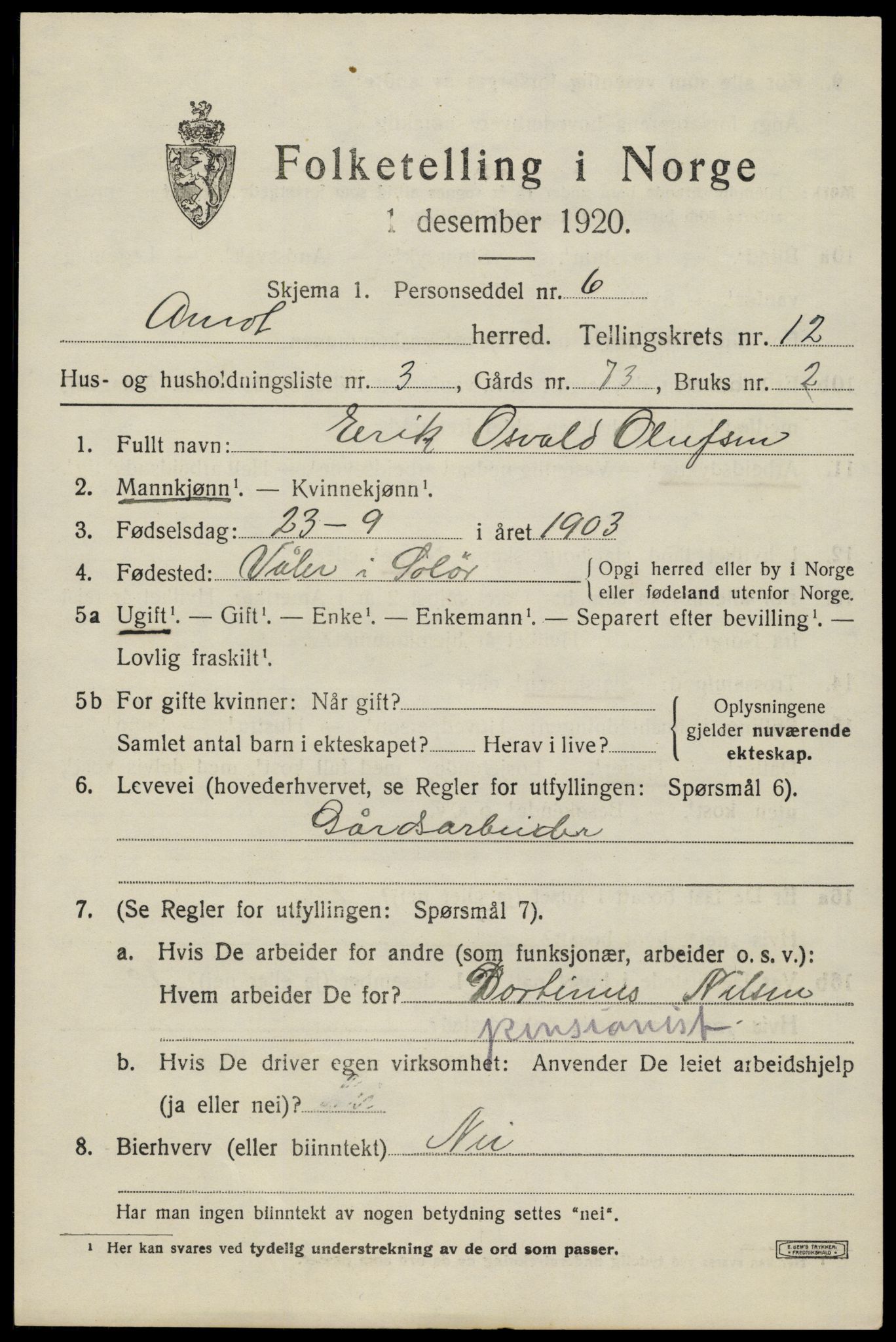 SAH, Folketelling 1920 for 0429 Åmot herred, 1920, s. 9635