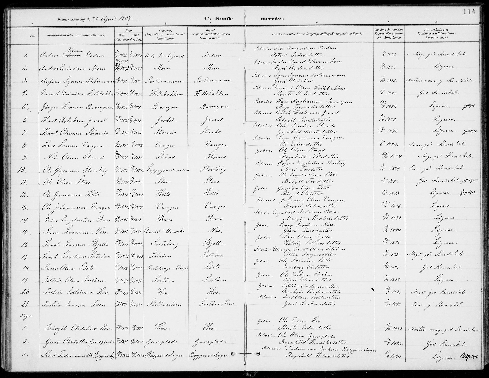 Ål kirkebøker, AV/SAKO-A-249/F/Fa/L0009: Ministerialbok nr. I 9, 1897-1915, s. 114