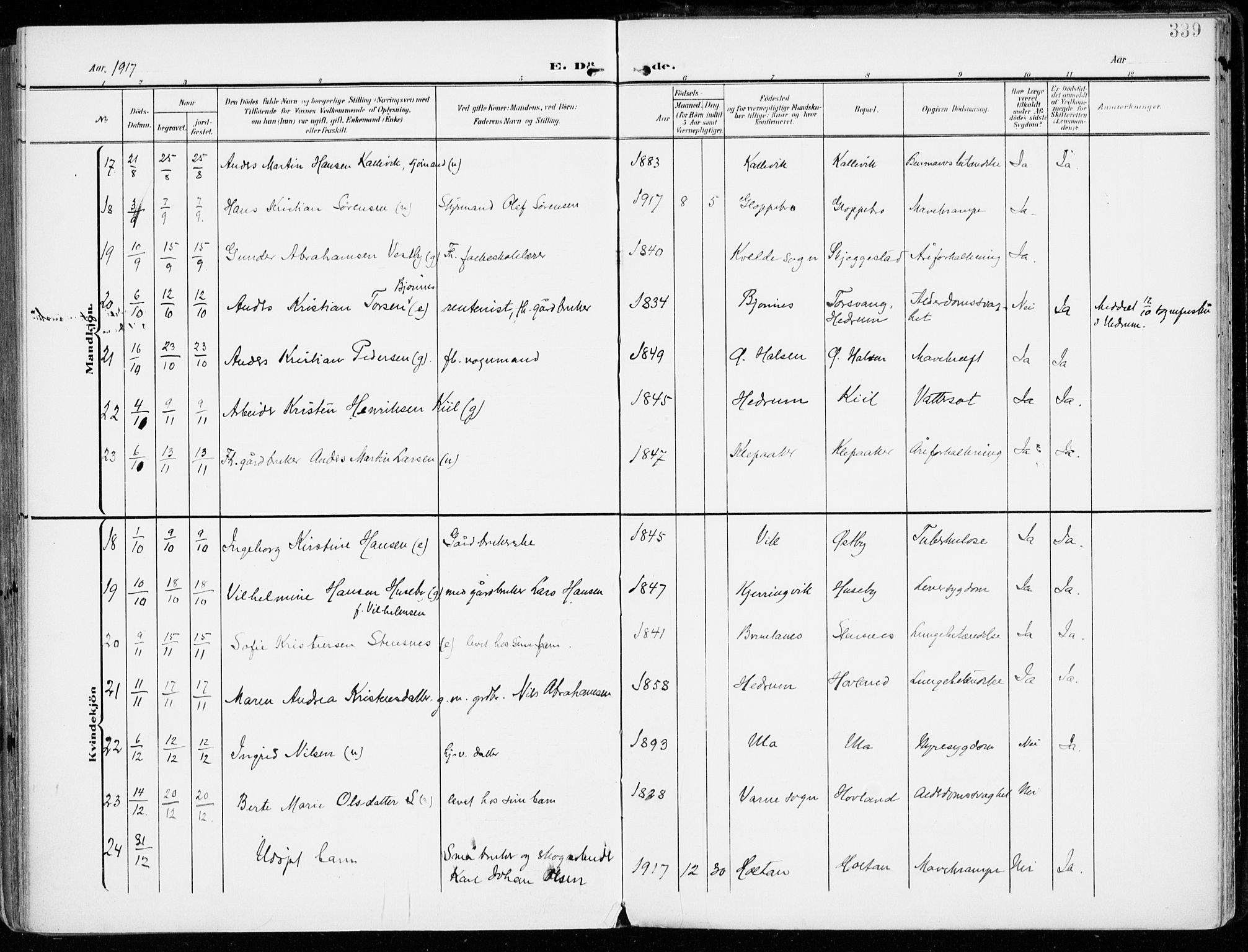 Tjølling kirkebøker, AV/SAKO-A-60/F/Fa/L0010: Ministerialbok nr. 10, 1906-1923, s. 339
