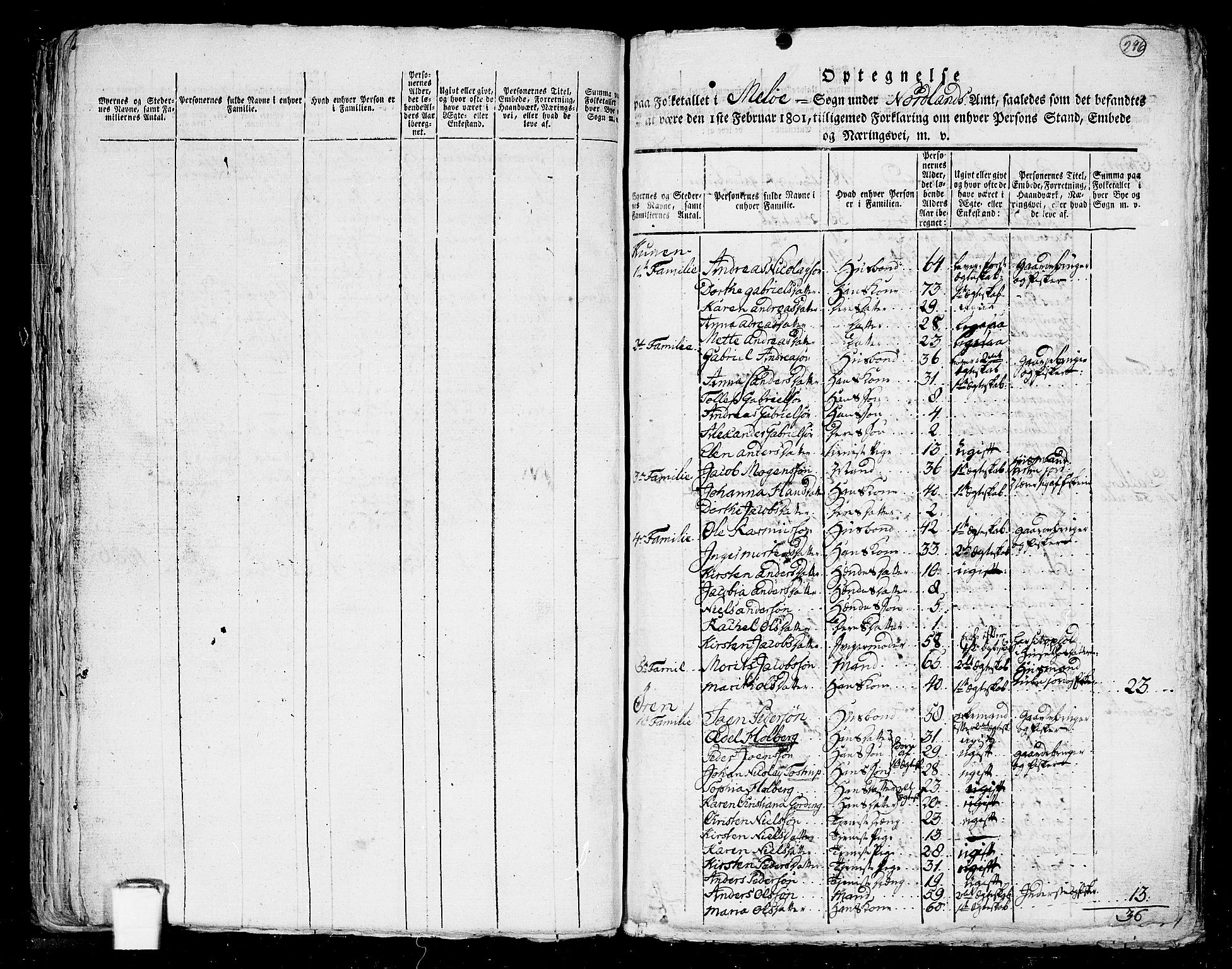 RA, Folketelling 1801 for 1836P Rødøy prestegjeld, 1801, s. 295b-296a