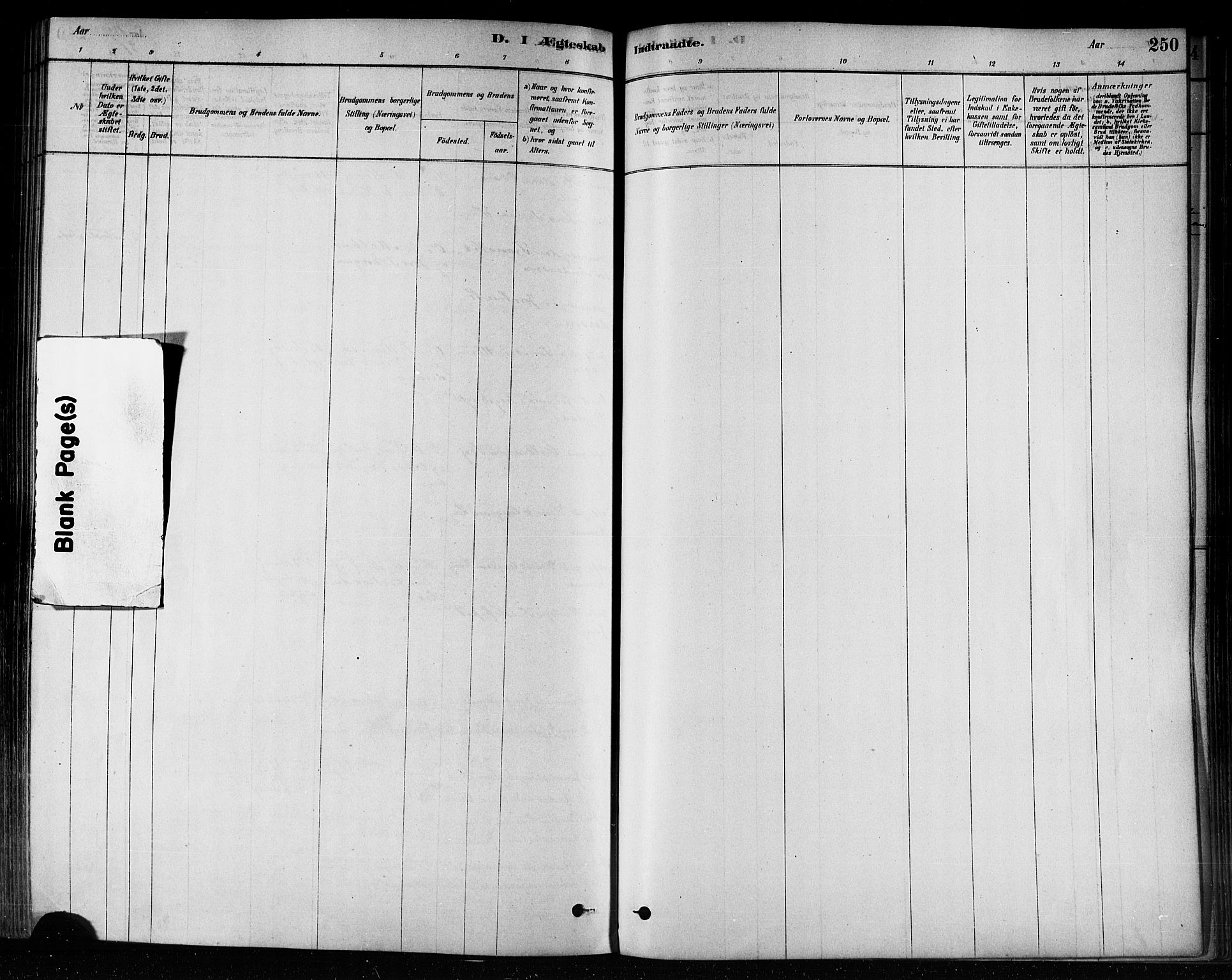 Ministerialprotokoller, klokkerbøker og fødselsregistre - Nord-Trøndelag, SAT/A-1458/746/L0449: Ministerialbok nr. 746A07 /3, 1878-1899, s. 250