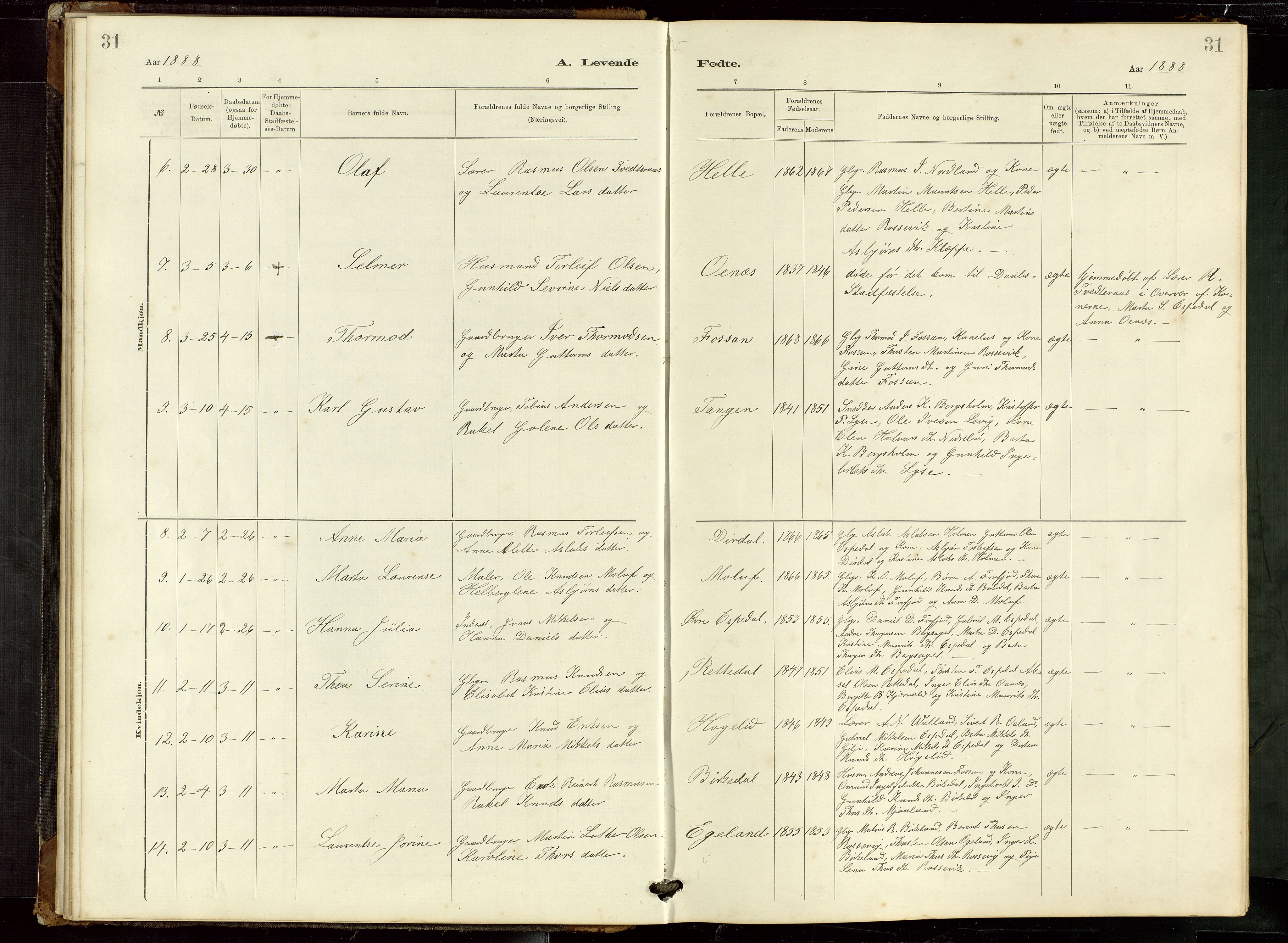 Høgsfjord sokneprestkontor, AV/SAST-A-101624/H/Ha/Hab/L0009: Klokkerbok nr. B 9, 1883-1920, s. 31