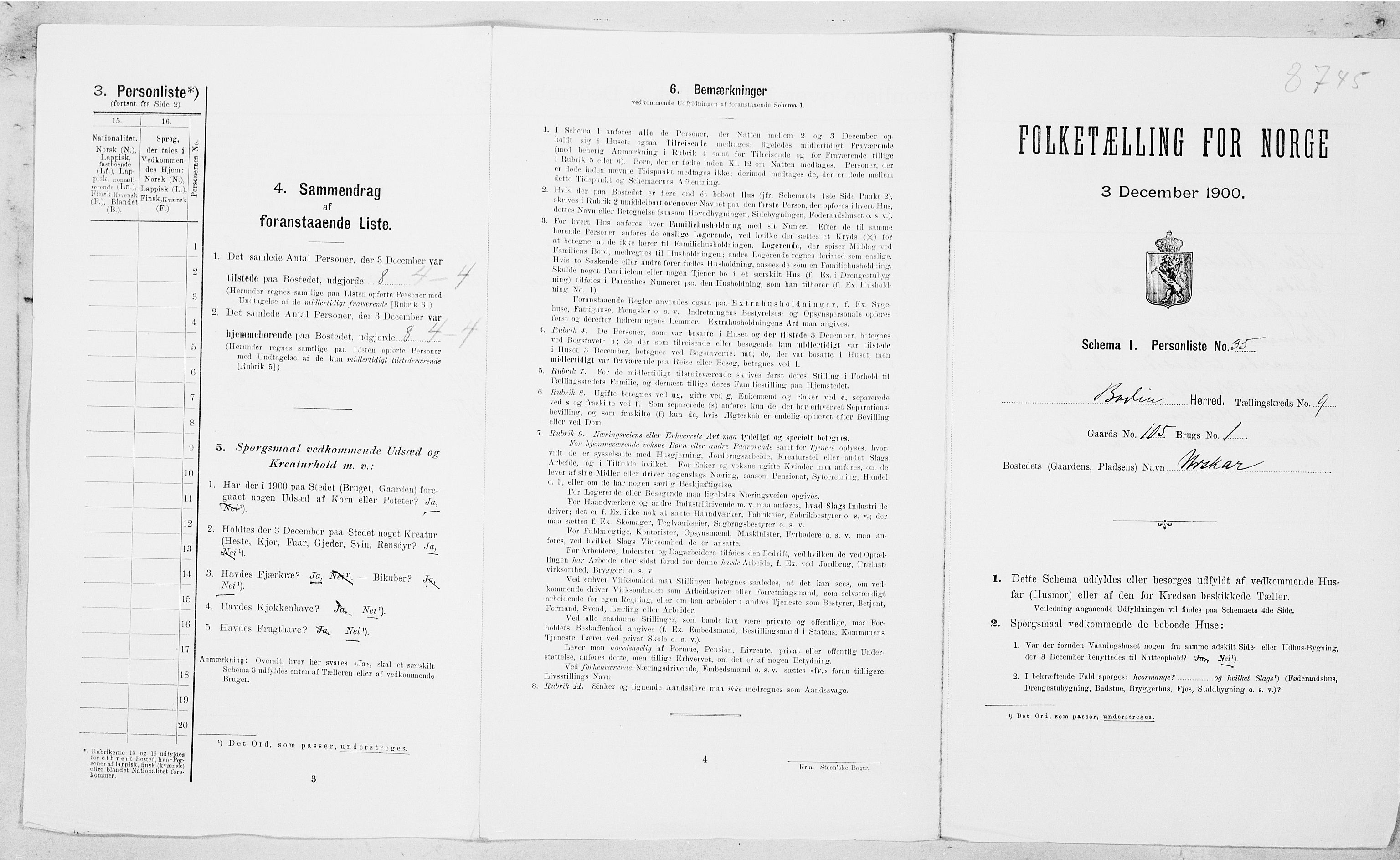 SAT, Folketelling 1900 for 1843 Bodin herred, 1900, s. 1393