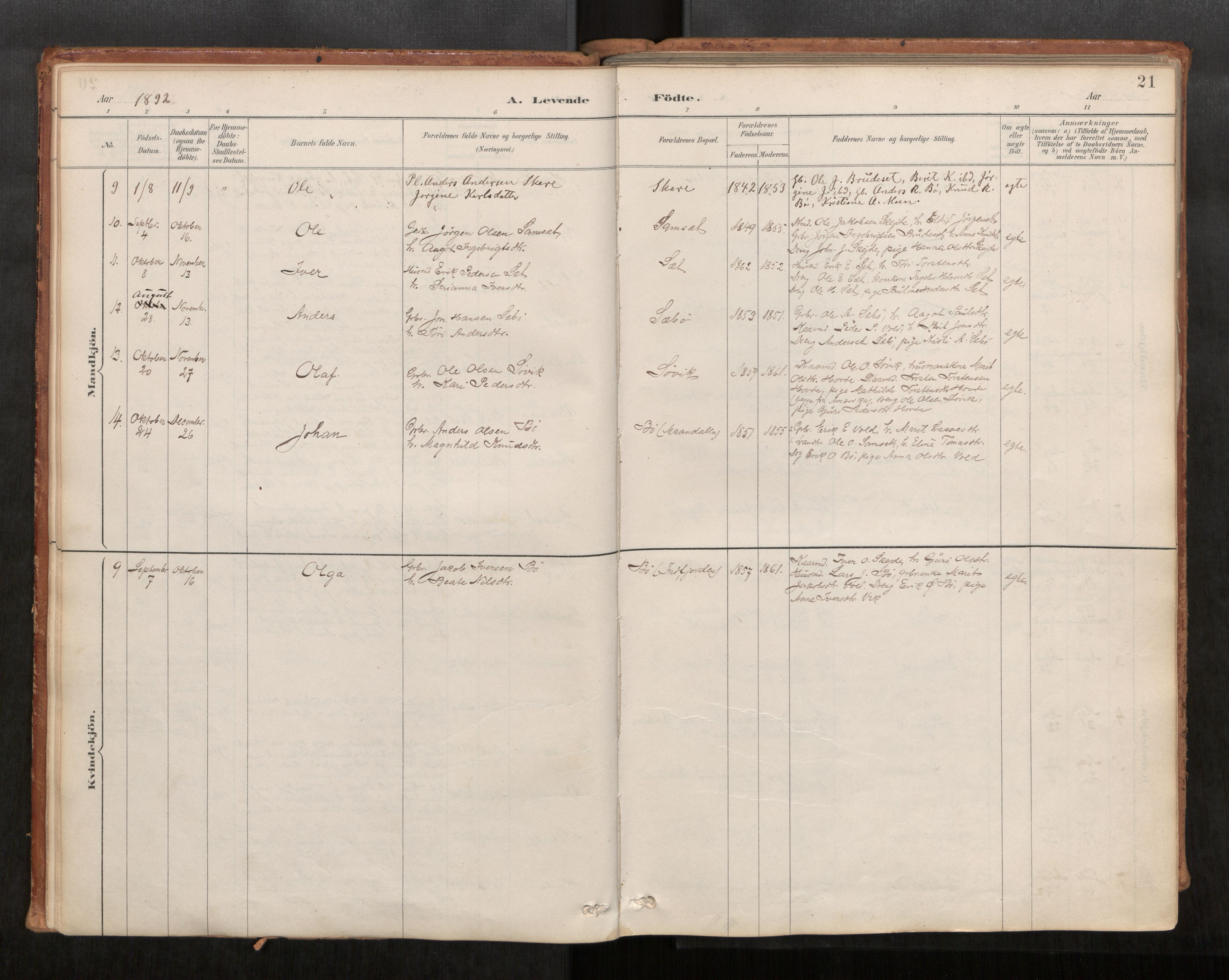 Ministerialprotokoller, klokkerbøker og fødselsregistre - Møre og Romsdal, AV/SAT-A-1454/543/L0568: Ministerialbok nr. 543A03, 1885-1915, s. 21