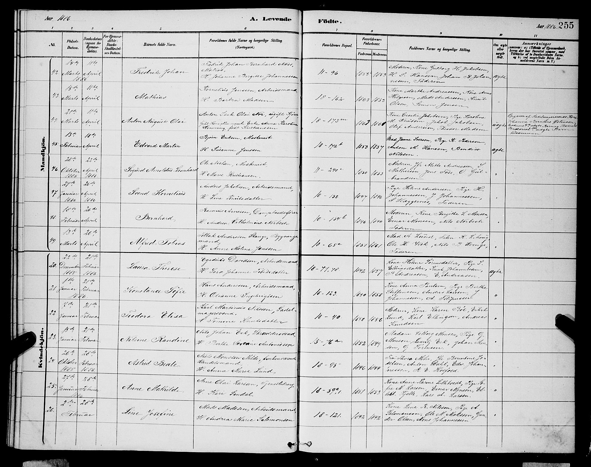 Domkirken sokneprestembete, AV/SAB-A-74801/H/Hab/L0015: Klokkerbok nr. B 8, 1879-1887, s. 255
