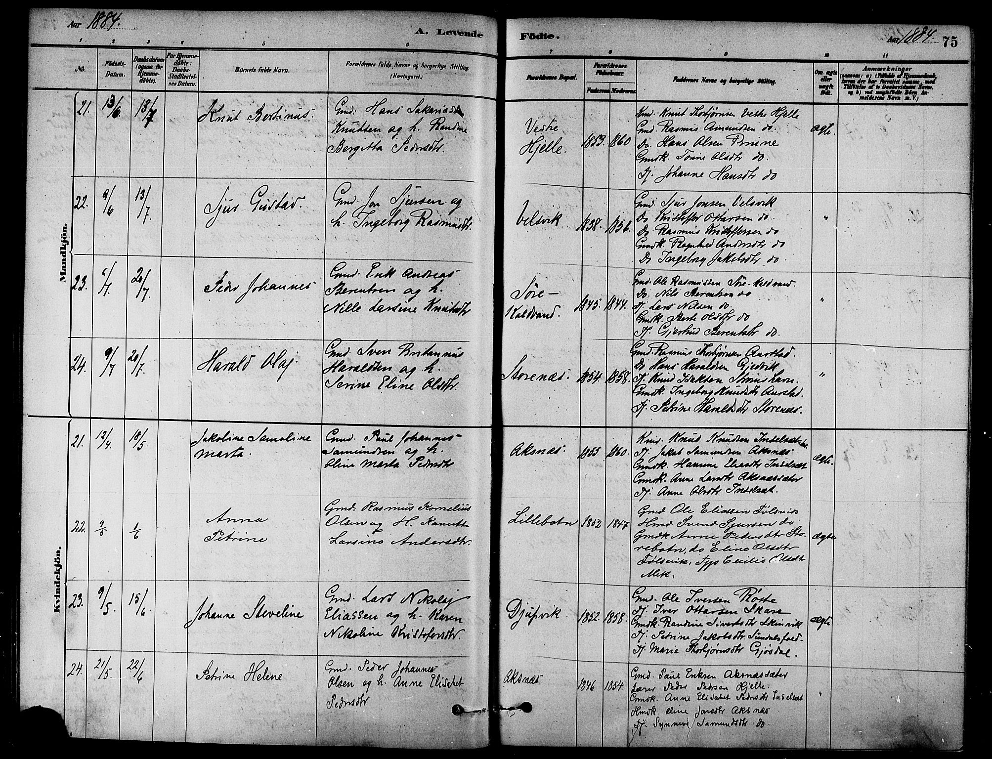 Ministerialprotokoller, klokkerbøker og fødselsregistre - Møre og Romsdal, AV/SAT-A-1454/511/L0141: Ministerialbok nr. 511A08, 1878-1890, s. 75