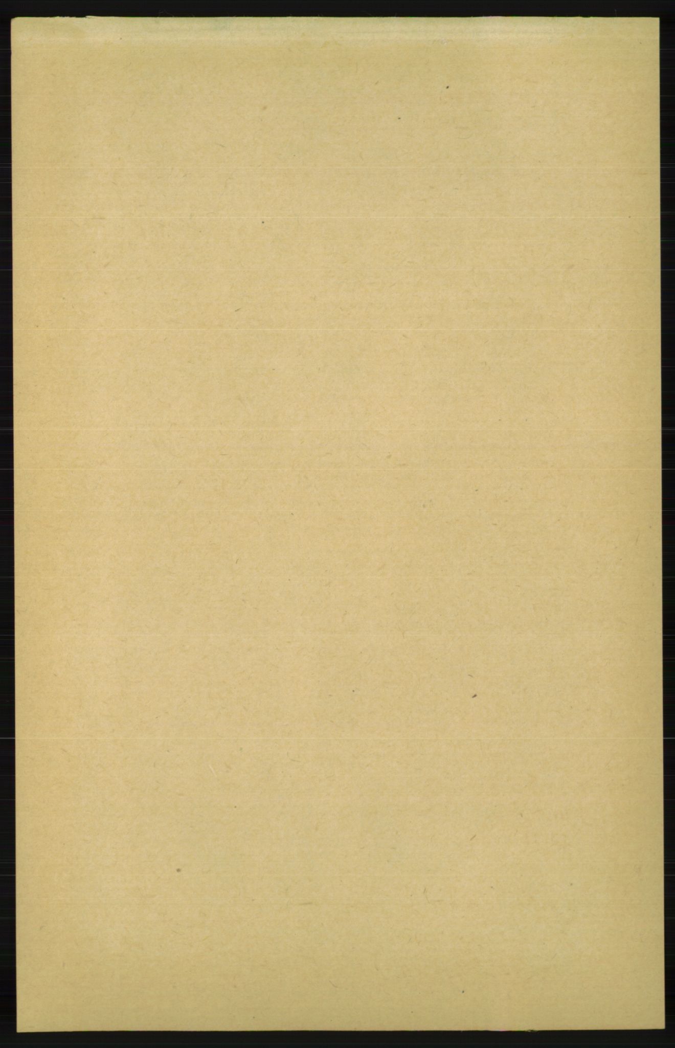 RA, Folketelling 1891 for 1036 Fjotland herred, 1891, s. 859