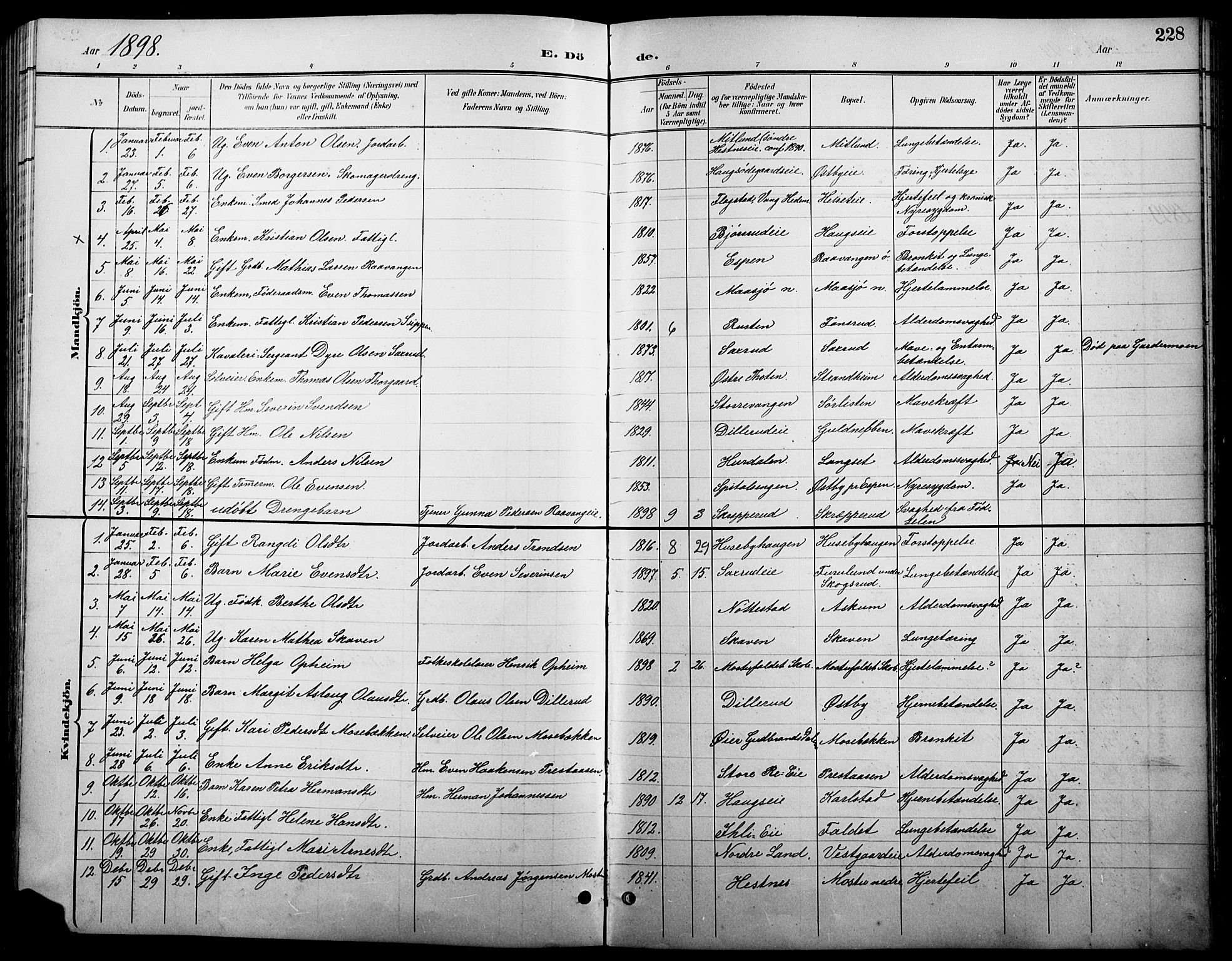 Stange prestekontor, AV/SAH-PREST-002/L/L0011: Klokkerbok nr. 11, 1895-1917, s. 228