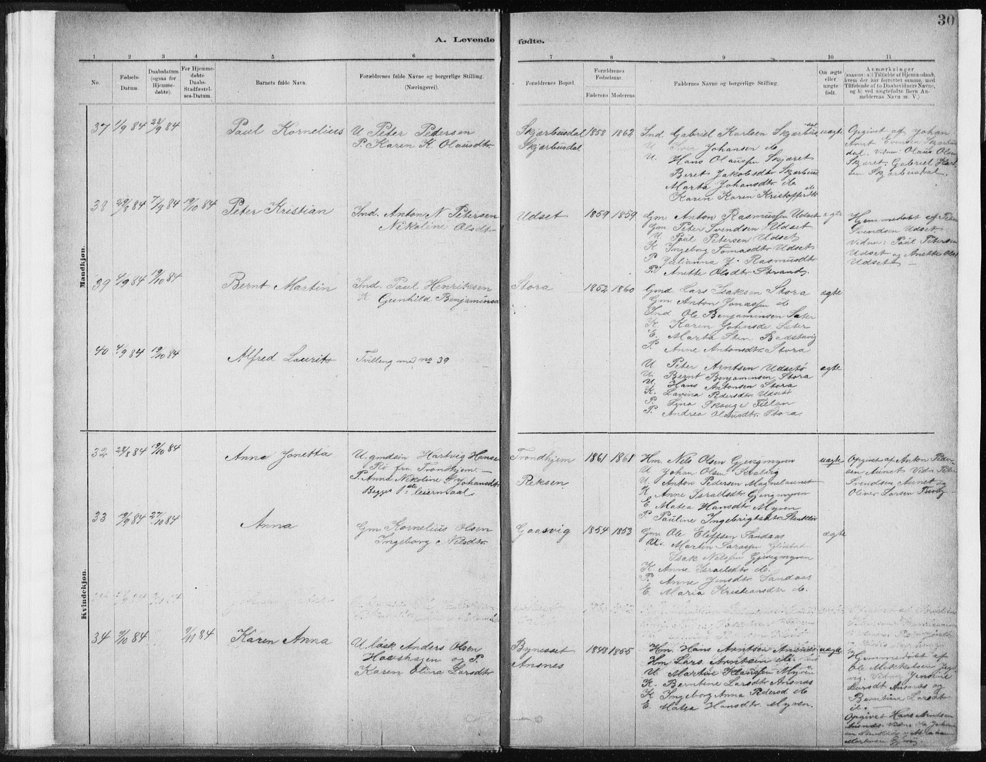 Ministerialprotokoller, klokkerbøker og fødselsregistre - Sør-Trøndelag, SAT/A-1456/637/L0558: Ministerialbok nr. 637A01, 1882-1899, s. 30