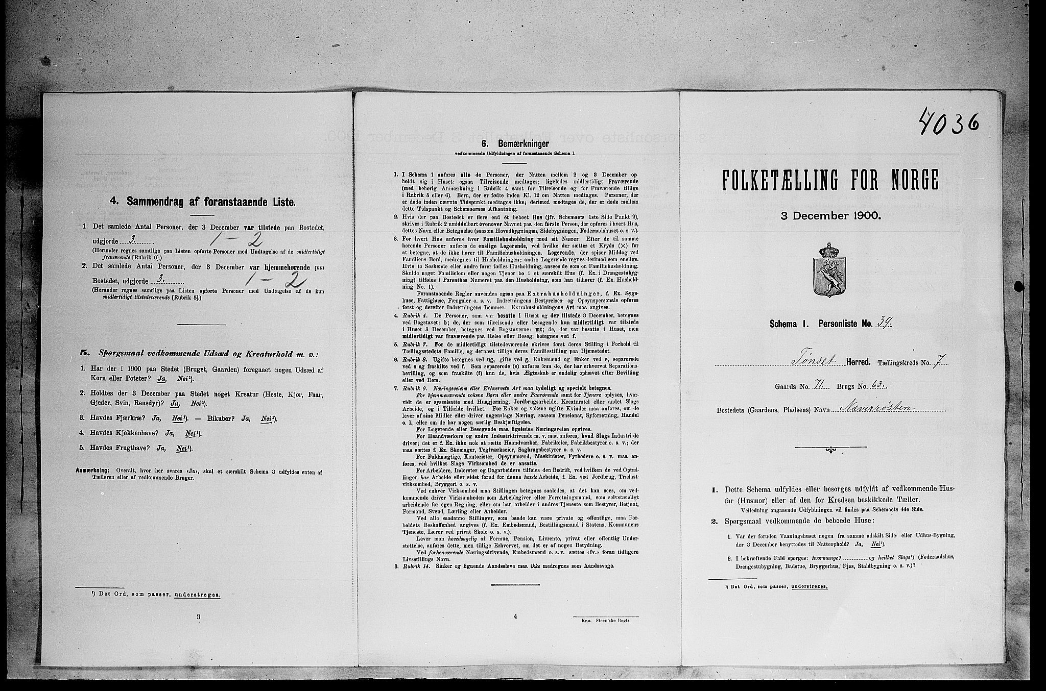 SAH, Folketelling 1900 for 0437 Tynset herred, 1900, s. 693