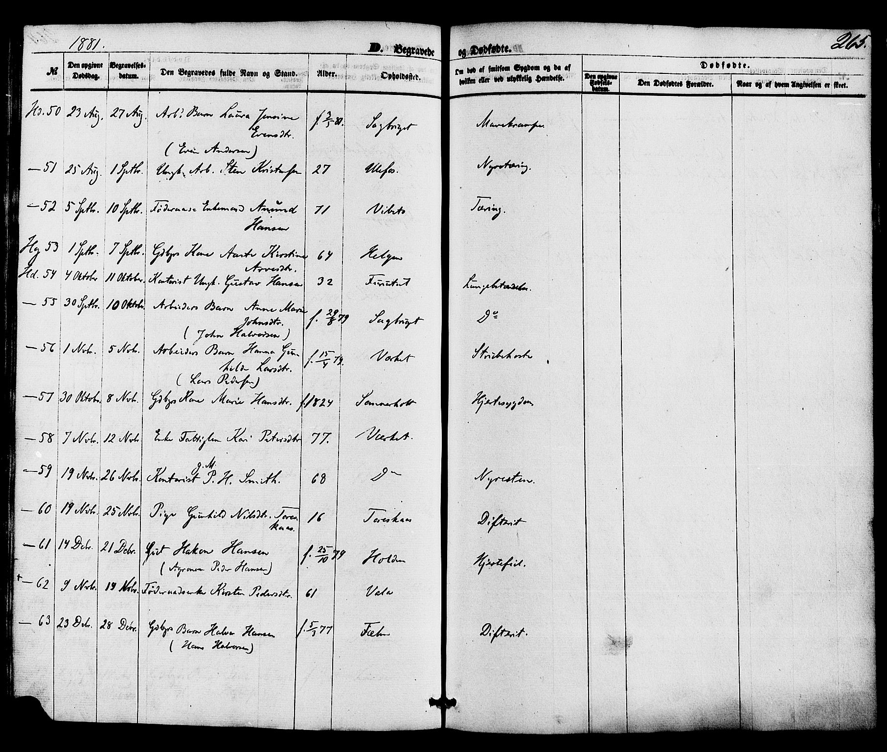Holla kirkebøker, AV/SAKO-A-272/F/Fa/L0007: Ministerialbok nr. 7, 1869-1881, s. 265