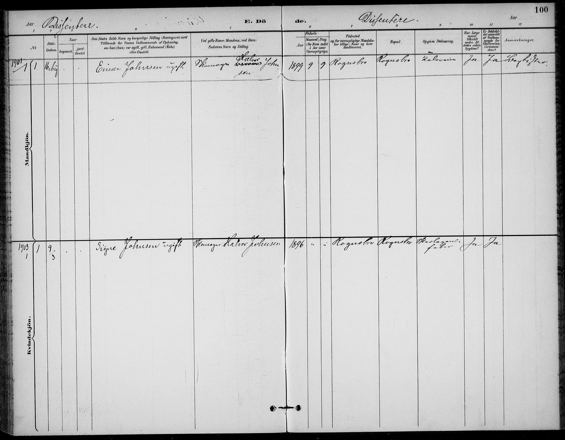 Solum kirkebøker, SAKO/A-306/F/Fc/L0002: Ministerialbok nr. III 2, 1892-1906, s. 100