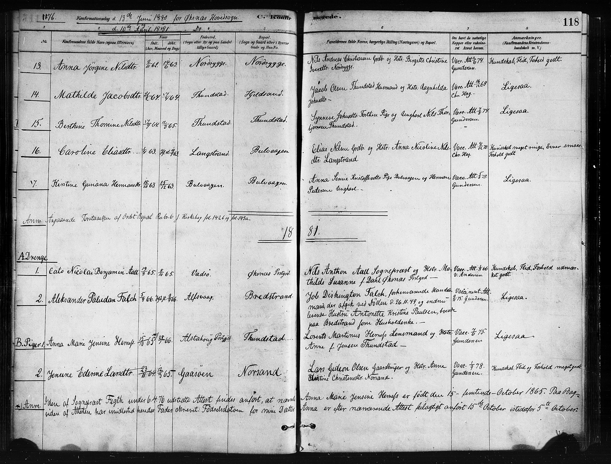 Ministerialprotokoller, klokkerbøker og fødselsregistre - Nordland, AV/SAT-A-1459/893/L1335: Ministerialbok nr. 893A08 /1, 1878-1884, s. 118