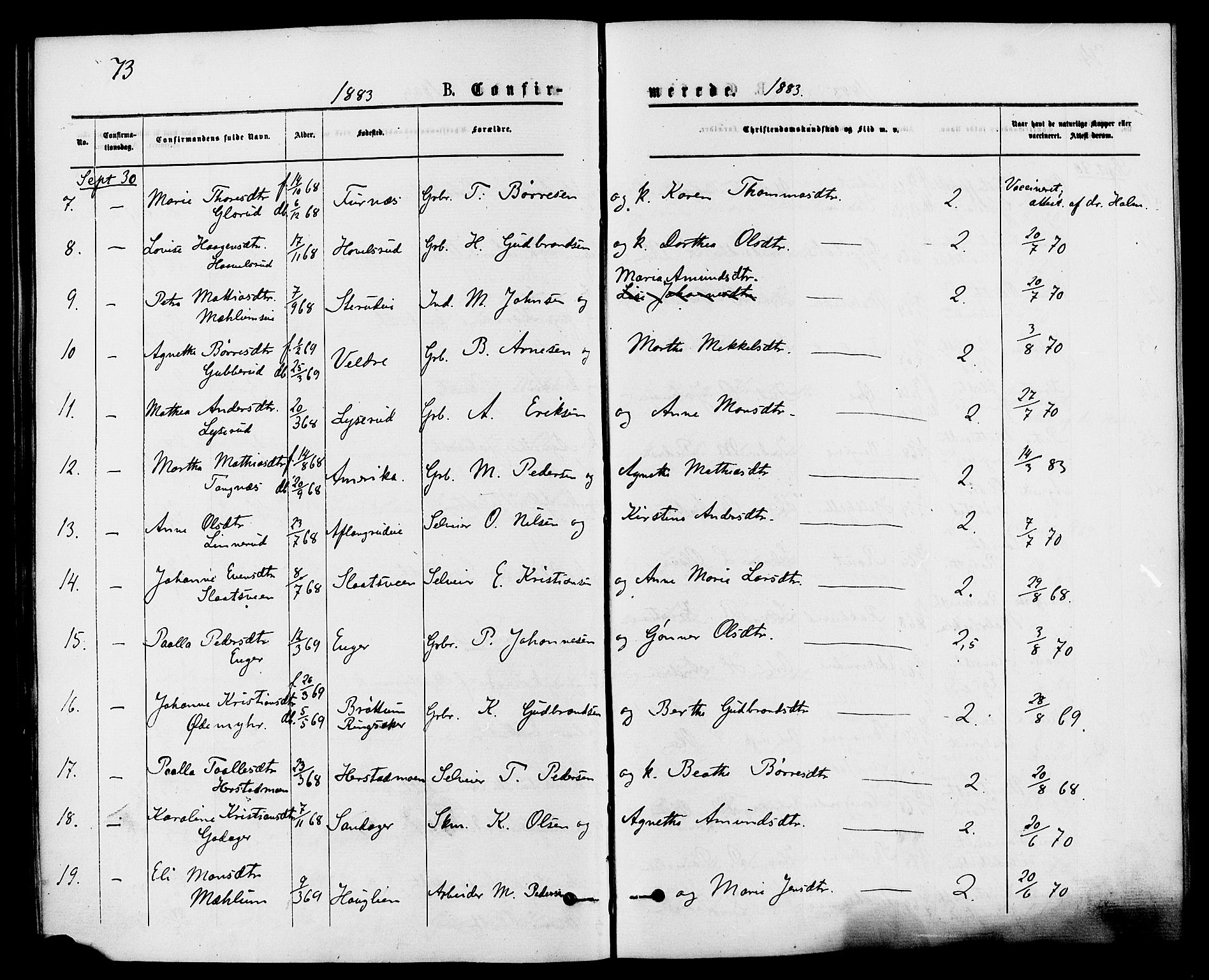 Nes prestekontor, Hedmark, AV/SAH-PREST-020/K/Ka/L0006: Ministerialbok nr. 6, 1873-1886, s. 73