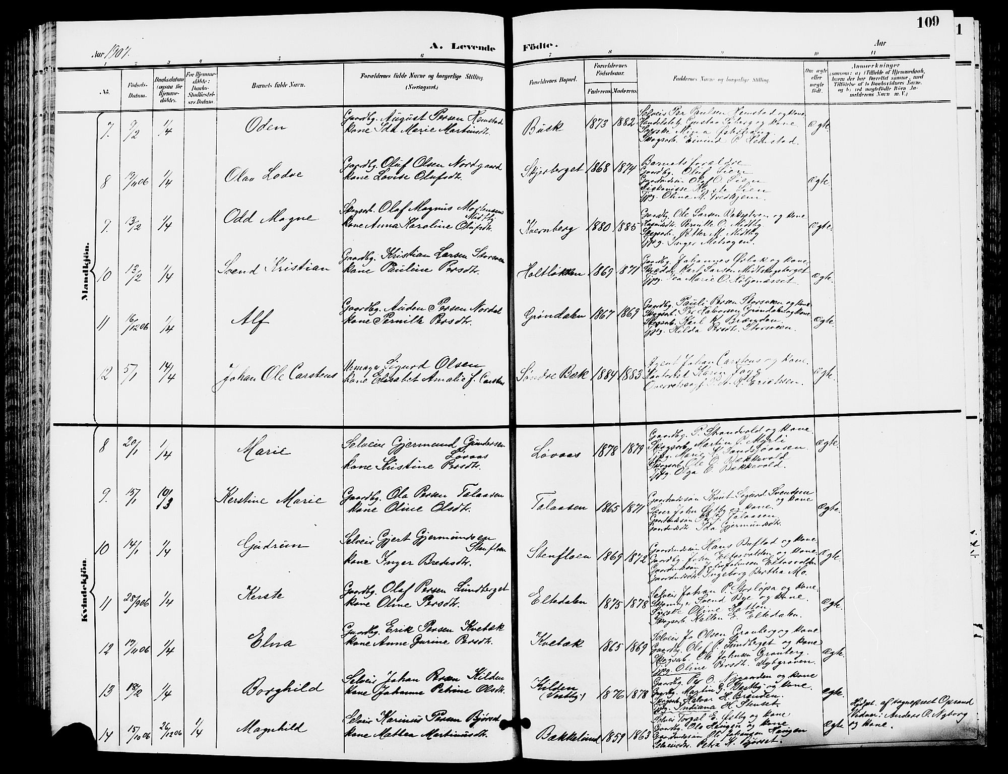 Trysil prestekontor, AV/SAH-PREST-046/H/Ha/Hab/L0006: Klokkerbok nr. 6, 1896-1912, s. 109