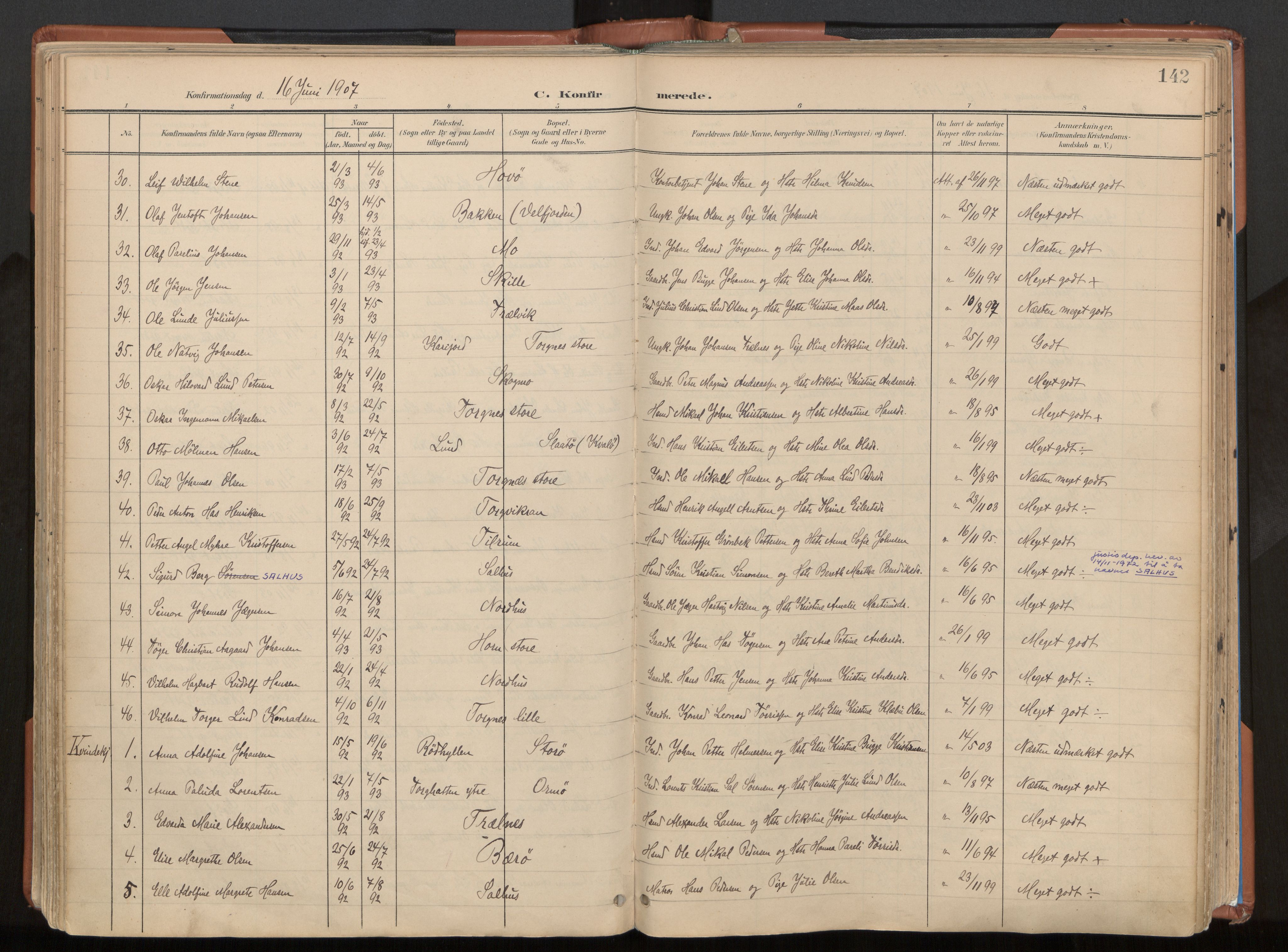 Ministerialprotokoller, klokkerbøker og fødselsregistre - Nordland, AV/SAT-A-1459/813/L0201: Ministerialbok nr. 813A11, 1901-1918, s. 142