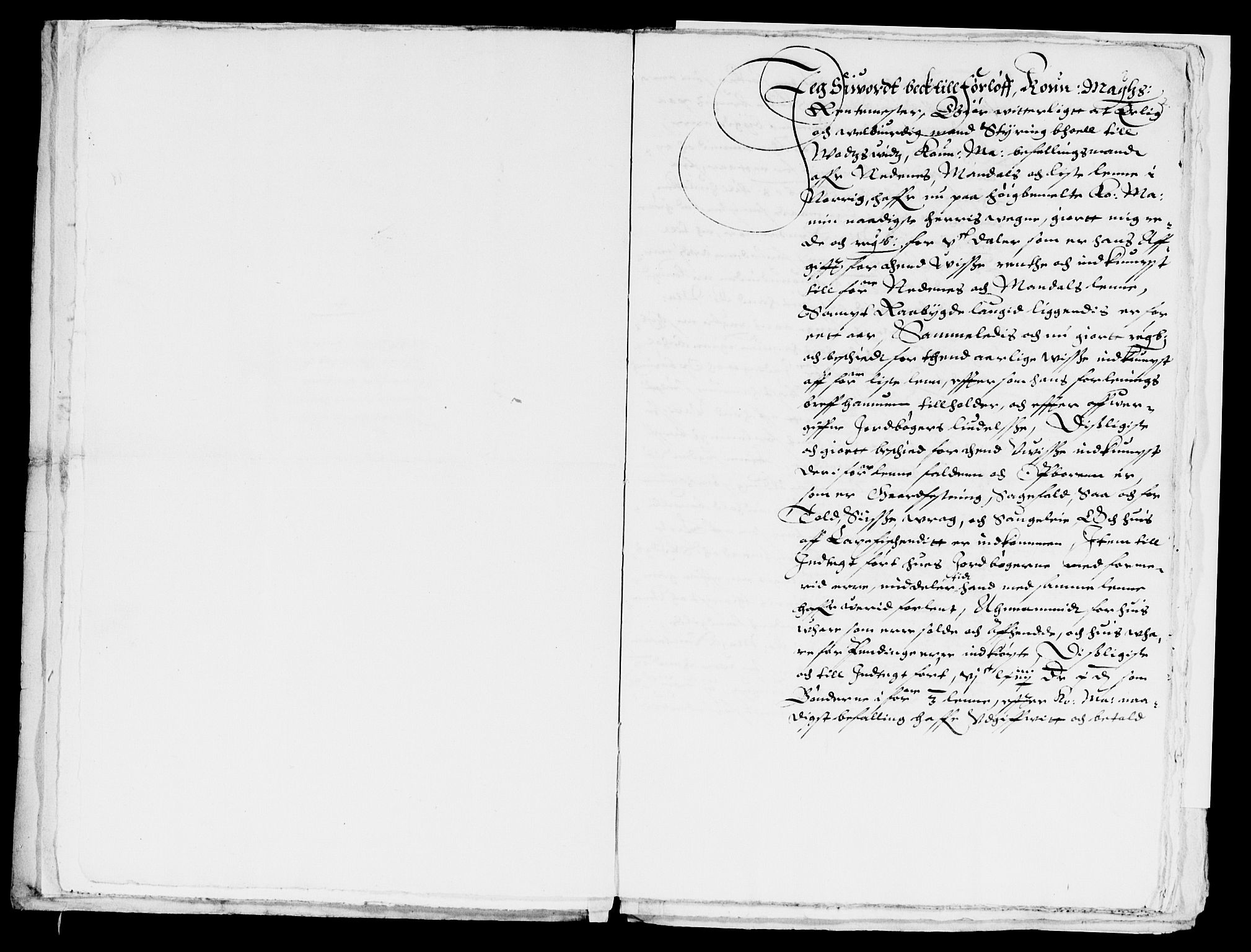 Rentekammeret inntil 1814, Reviderte regnskaper, Lensregnskaper, AV/RA-EA-5023/R/Rb/Rbq/L0011: Nedenes len. Mandals len. Råbyggelag., 1618-1620