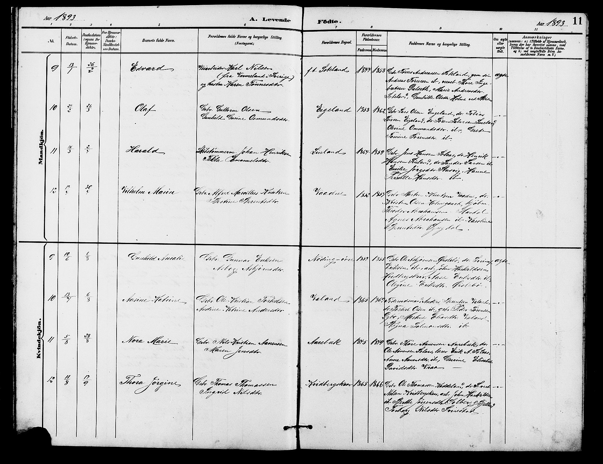 Holum sokneprestkontor, AV/SAK-1111-0022/F/Fb/Fba/L0005: Klokkerbok nr. B 5, 1891-1909, s. 11