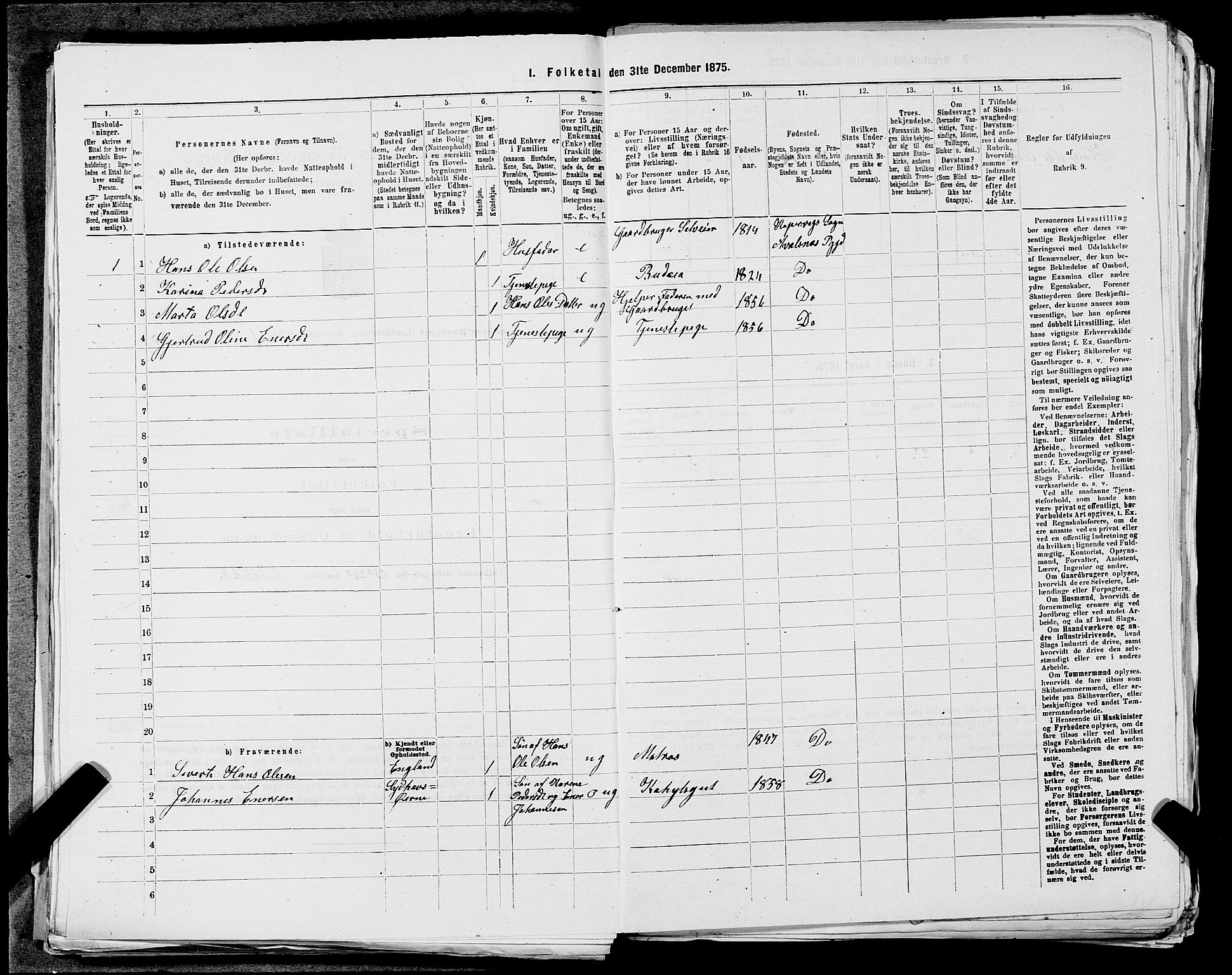 SAST, Folketelling 1875 for 1147L Avaldsnes prestegjeld, Avaldsnes sokn og Kopervik landsokn, 1875, s. 117