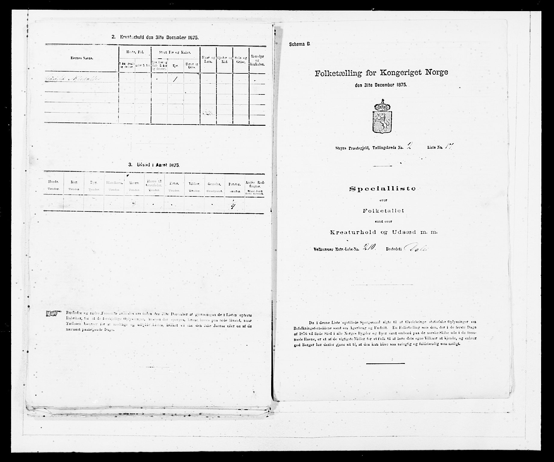 SAB, Folketelling 1875 for 1448P Stryn prestegjeld, 1875, s. 111