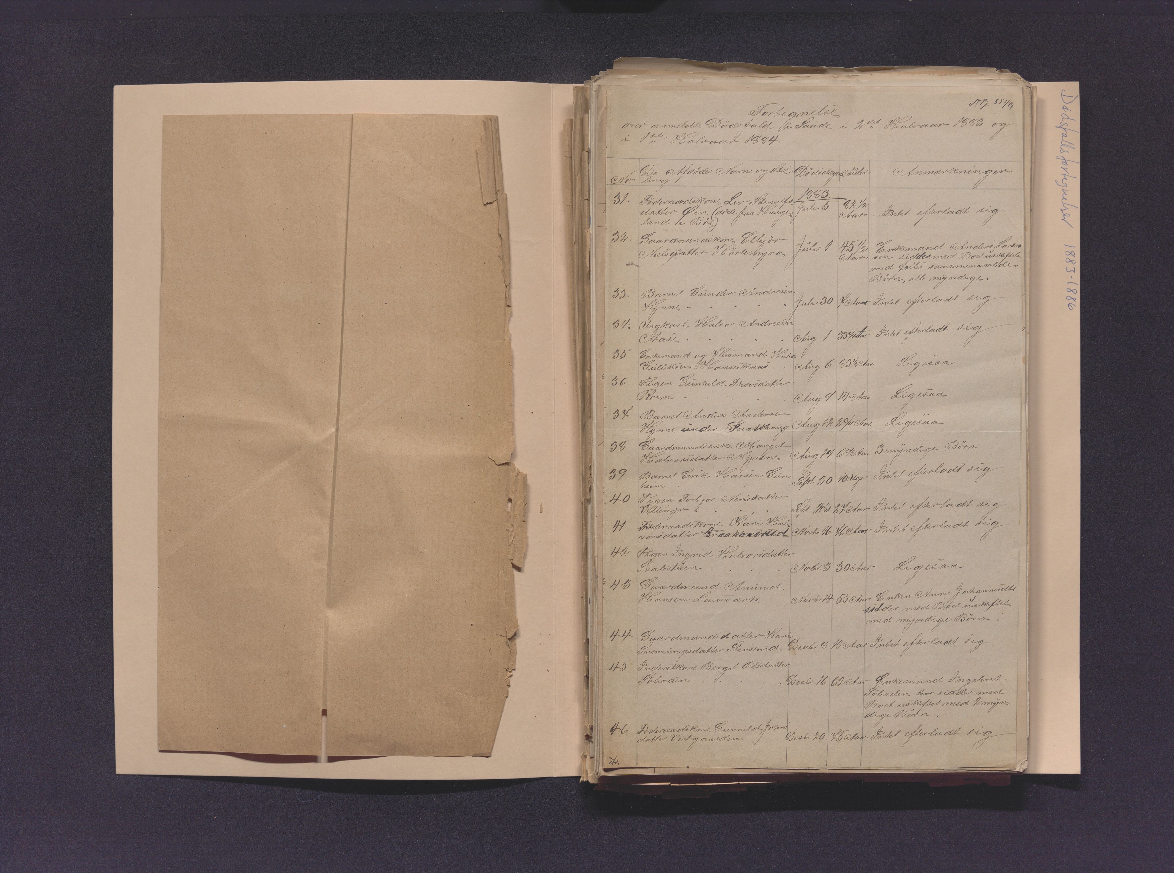Nedre Telemark sorenskriveri, AV/SAKO-A-135/H/Ha/Hab/L0001: Dødsfallsfortegnelser
, 1867-1886, s. 580