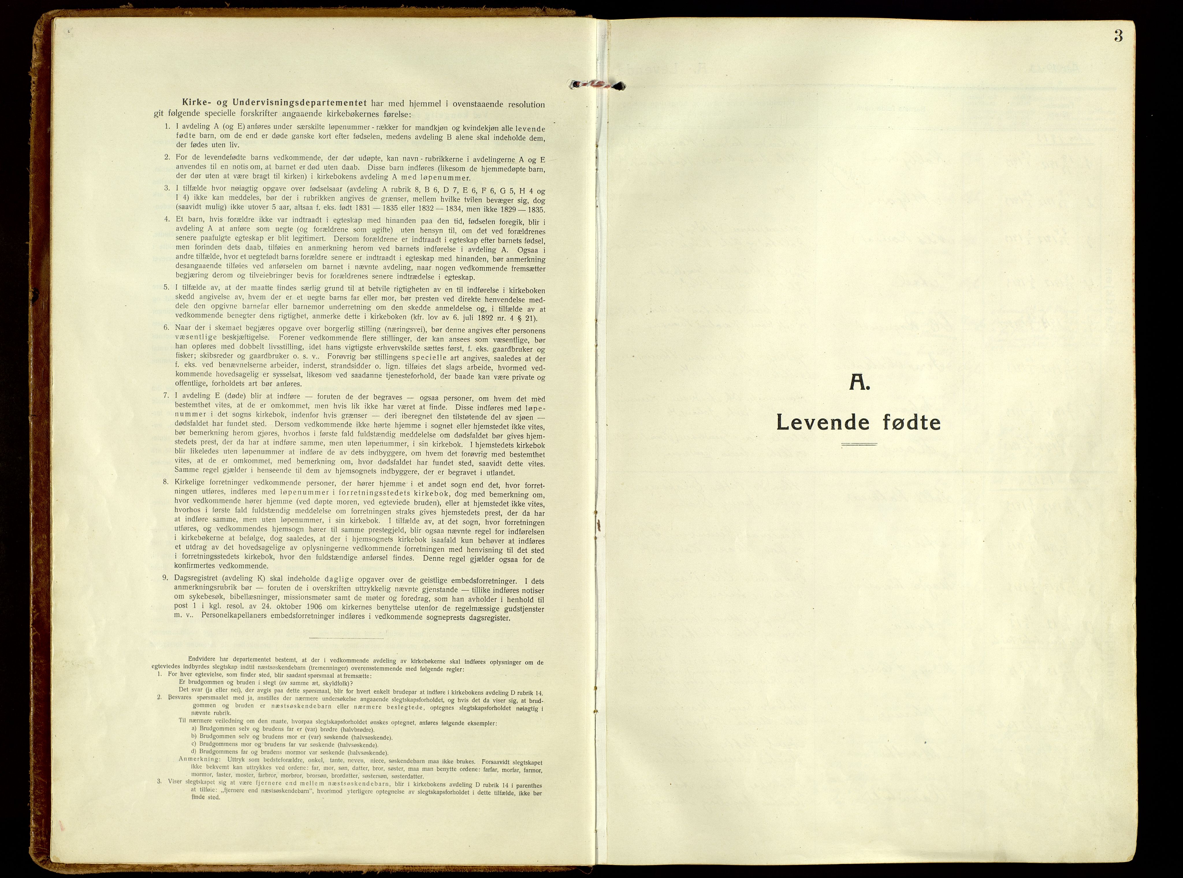 Brandbu prestekontor, SAH/PREST-114/H/Ha/Haa/L0004: Ministerialbok nr. 4, 1913-1923, s. 3