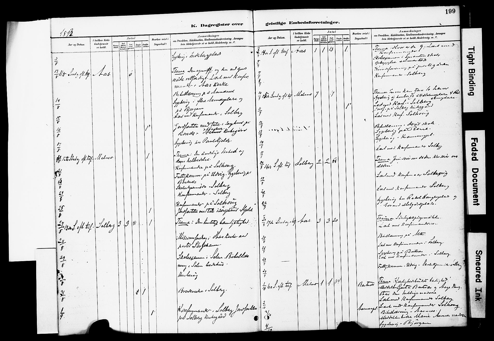 Ministerialprotokoller, klokkerbøker og fødselsregistre - Nord-Trøndelag, SAT/A-1458/741/L0396: Ministerialbok nr. 741A10, 1889-1901, s. 199