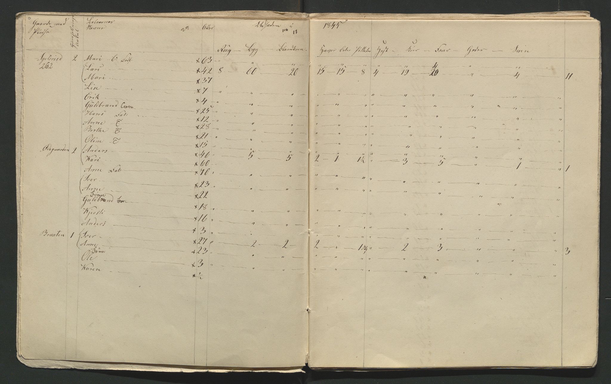 SAH, Lokaliasamlingen for Hedmark og Oppland fylker m.v.: Folketellingen 1845 for Jevnaker prestegjeld, 1845, s. 48