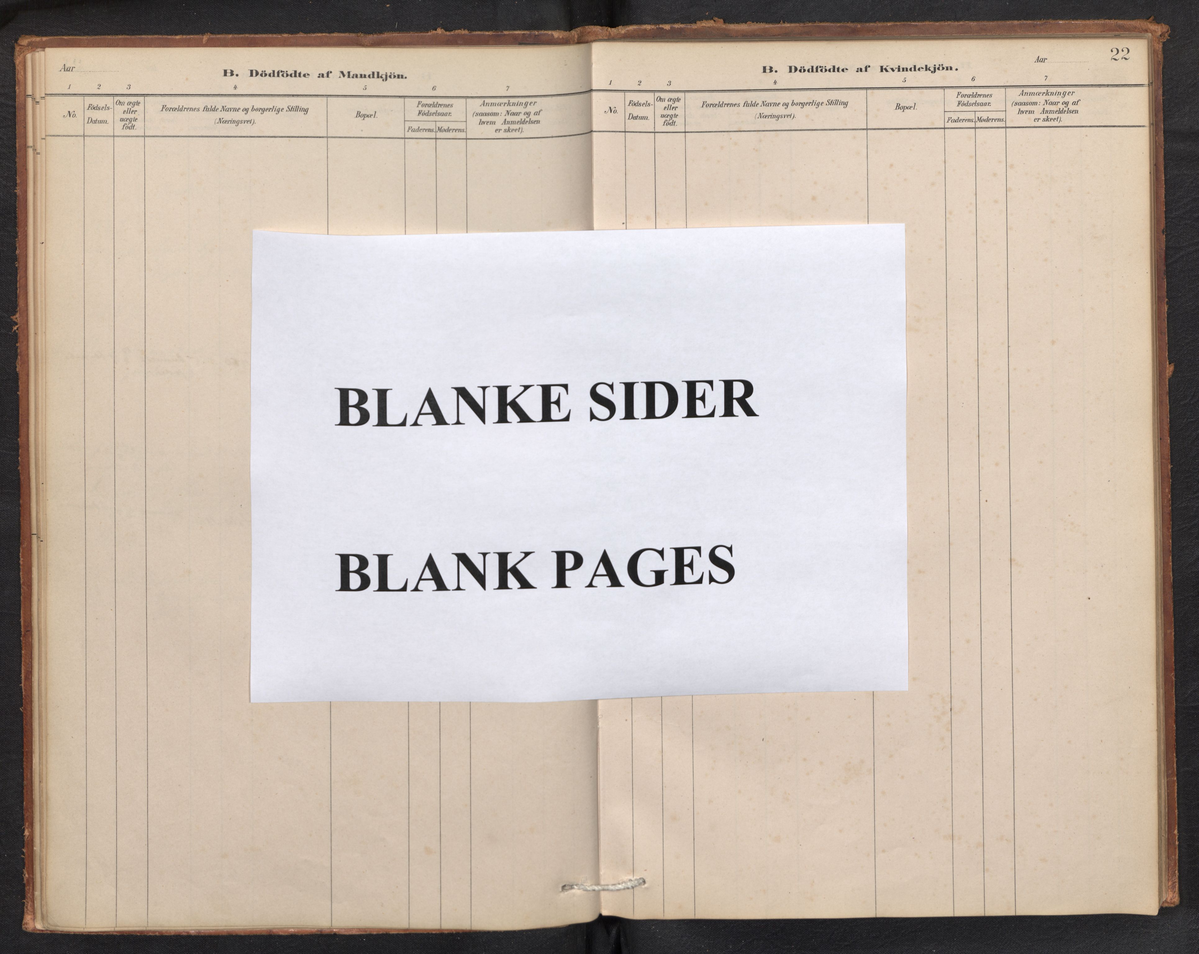 Aurland sokneprestembete, AV/SAB-A-99937/H/Ha/Hae/L0001: Ministerialbok nr. E 1, 1880-1907, s. 21b-22a