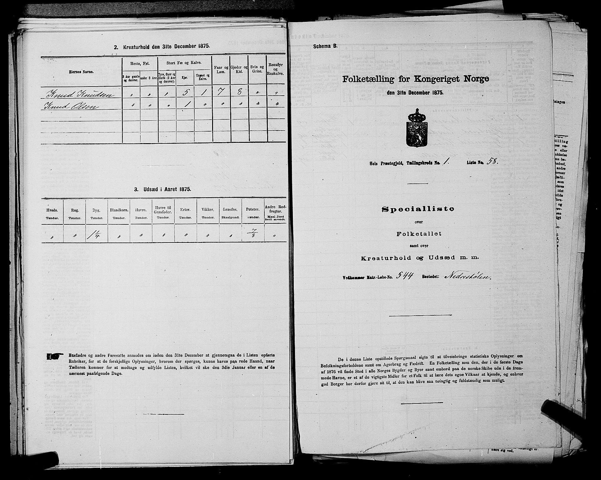 SAKO, Folketelling 1875 for 0620P Hol prestegjeld, 1875, s. 154