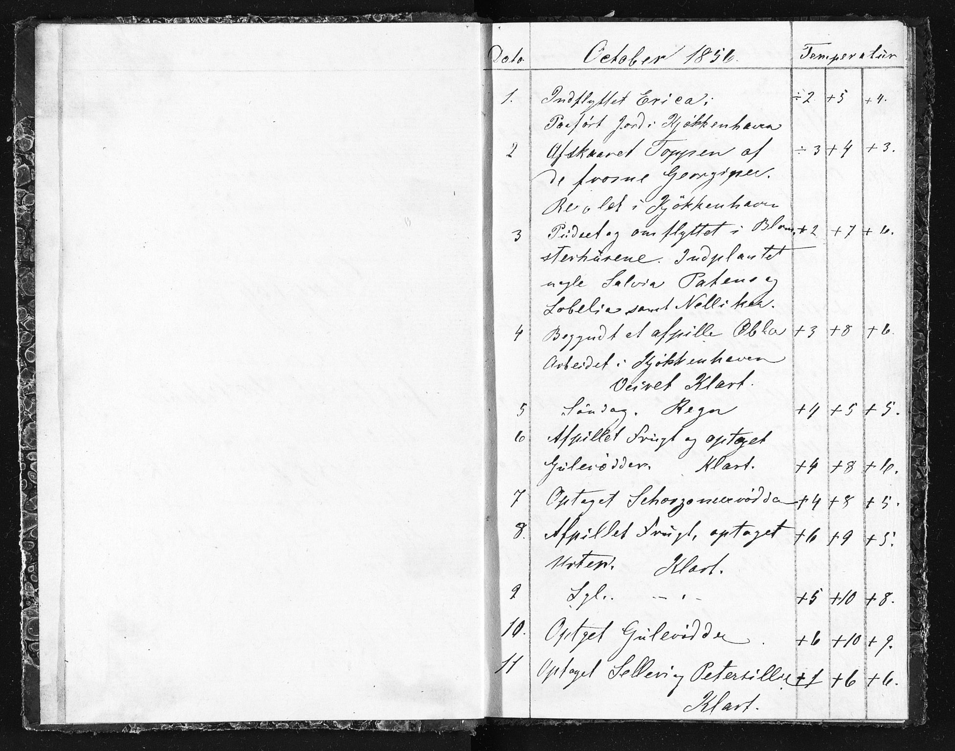 Familien Aalls privatarkiv , NESJ/NJM-005/E-00003/L0001/0003/0002: Dag- og notatbøker / Dølner dagbokpakke 001, 1856