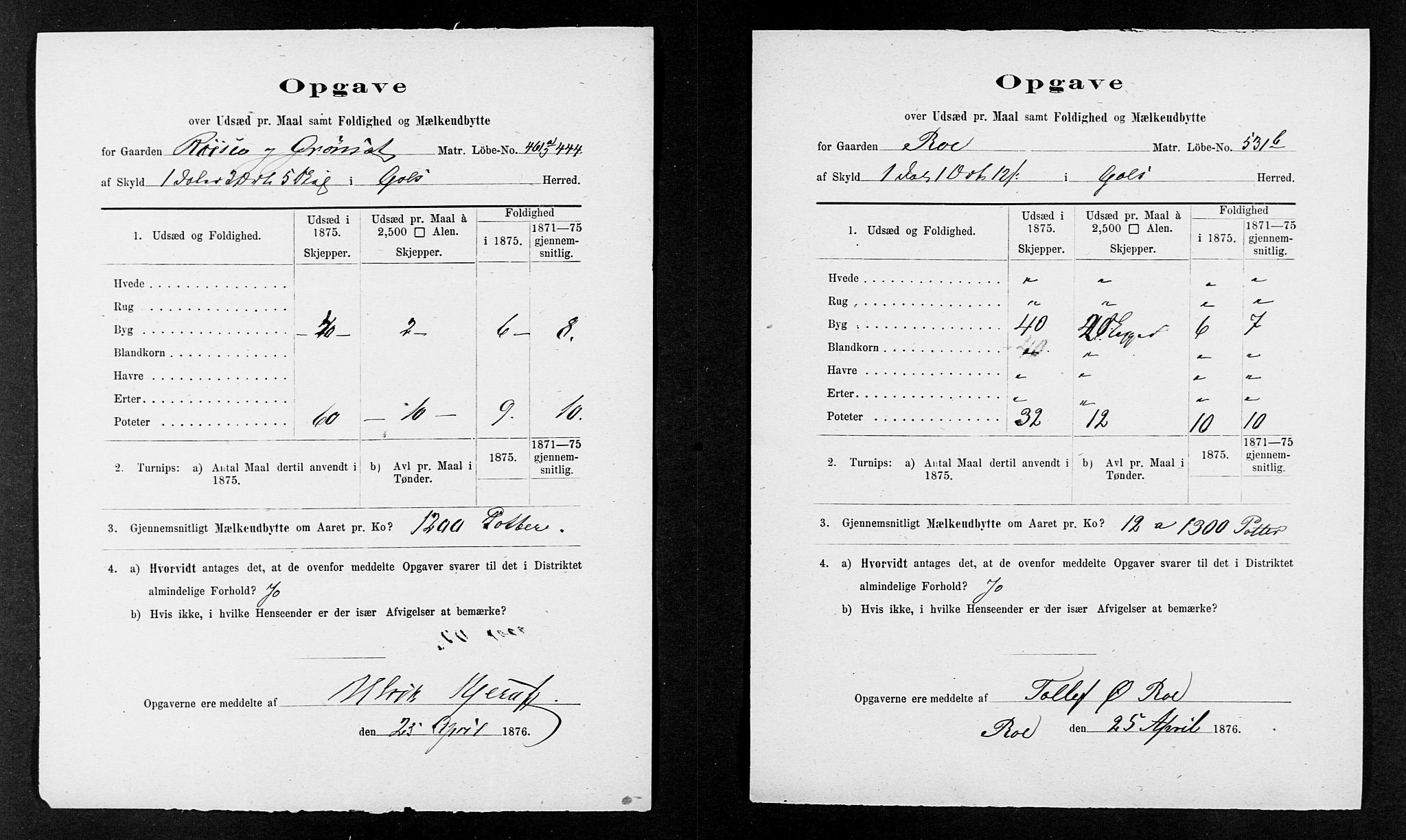 Statistisk sentralbyrå, Næringsøkonomiske emner, Generelt - Amtmennenes femårsberetninger, AV/RA-S-2233/F/Fa/L0036: --, 1875, s. 13