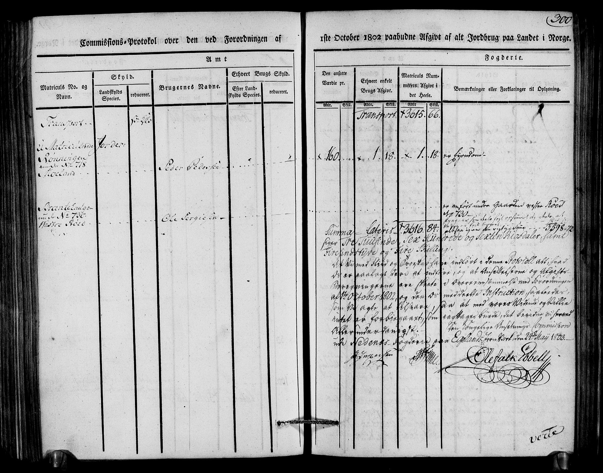 Rentekammeret inntil 1814, Realistisk ordnet avdeling, AV/RA-EA-4070/N/Ne/Nea/L0079: Nedenes fogderi. Kommisjonsprotokoll "Nr. 2", for Strengereid skipreide, 1803, s. 289