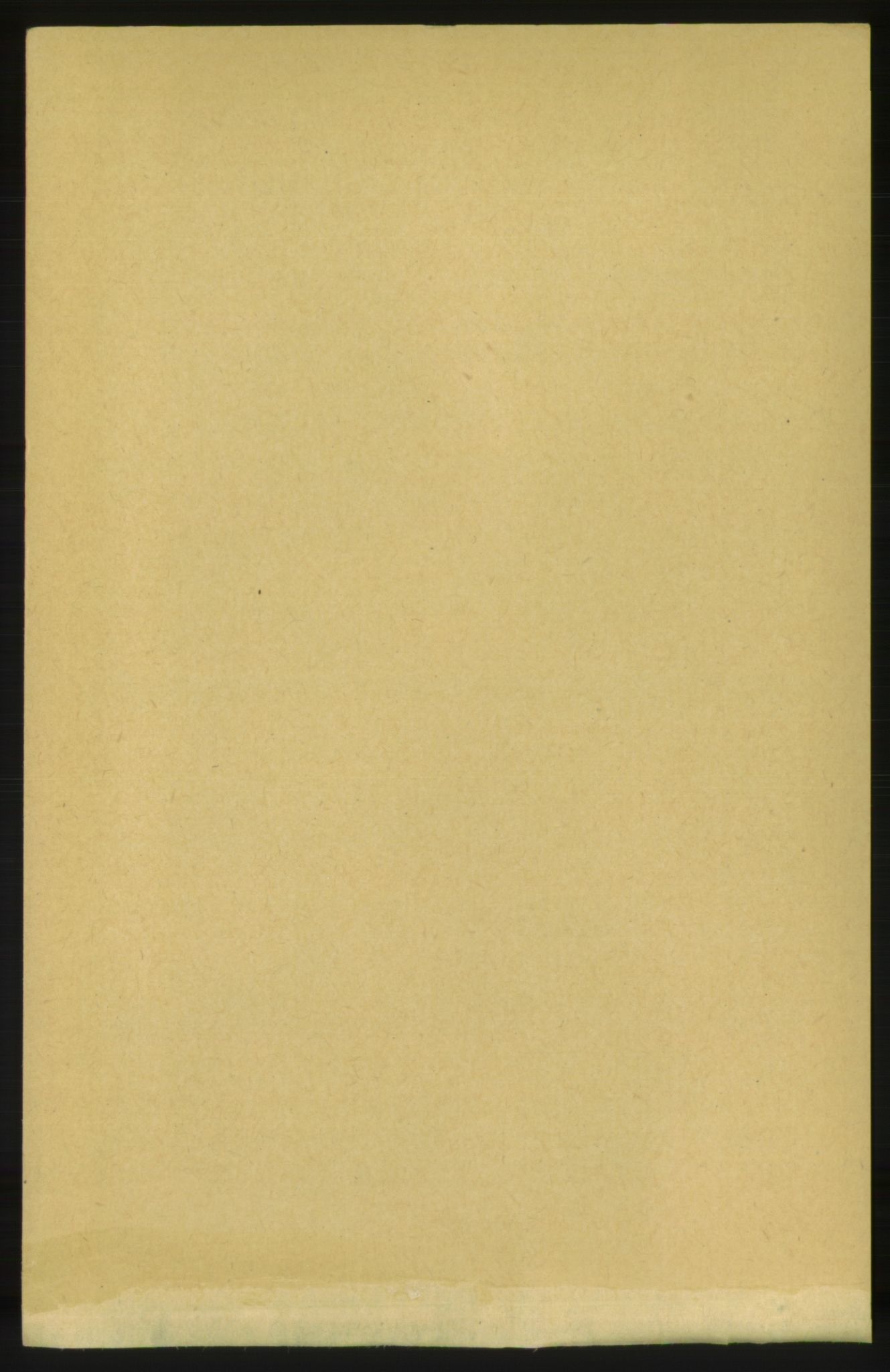 RA, Folketelling 1891 for 1569 Aure herred, 1891, s. 3369