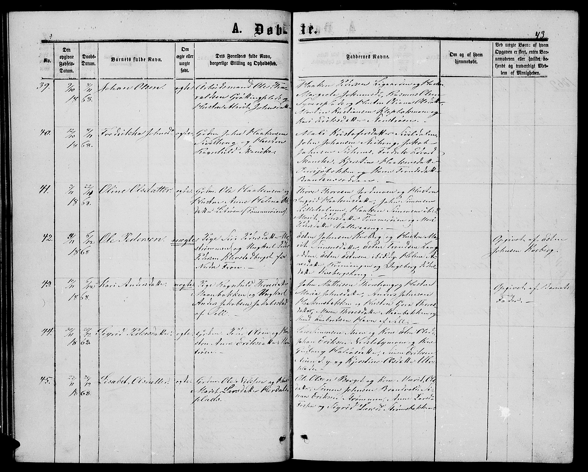 Alvdal prestekontor, AV/SAH-PREST-060/H/Ha/Hab/L0002: Klokkerbok nr. 2, 1863-1878, s. 43