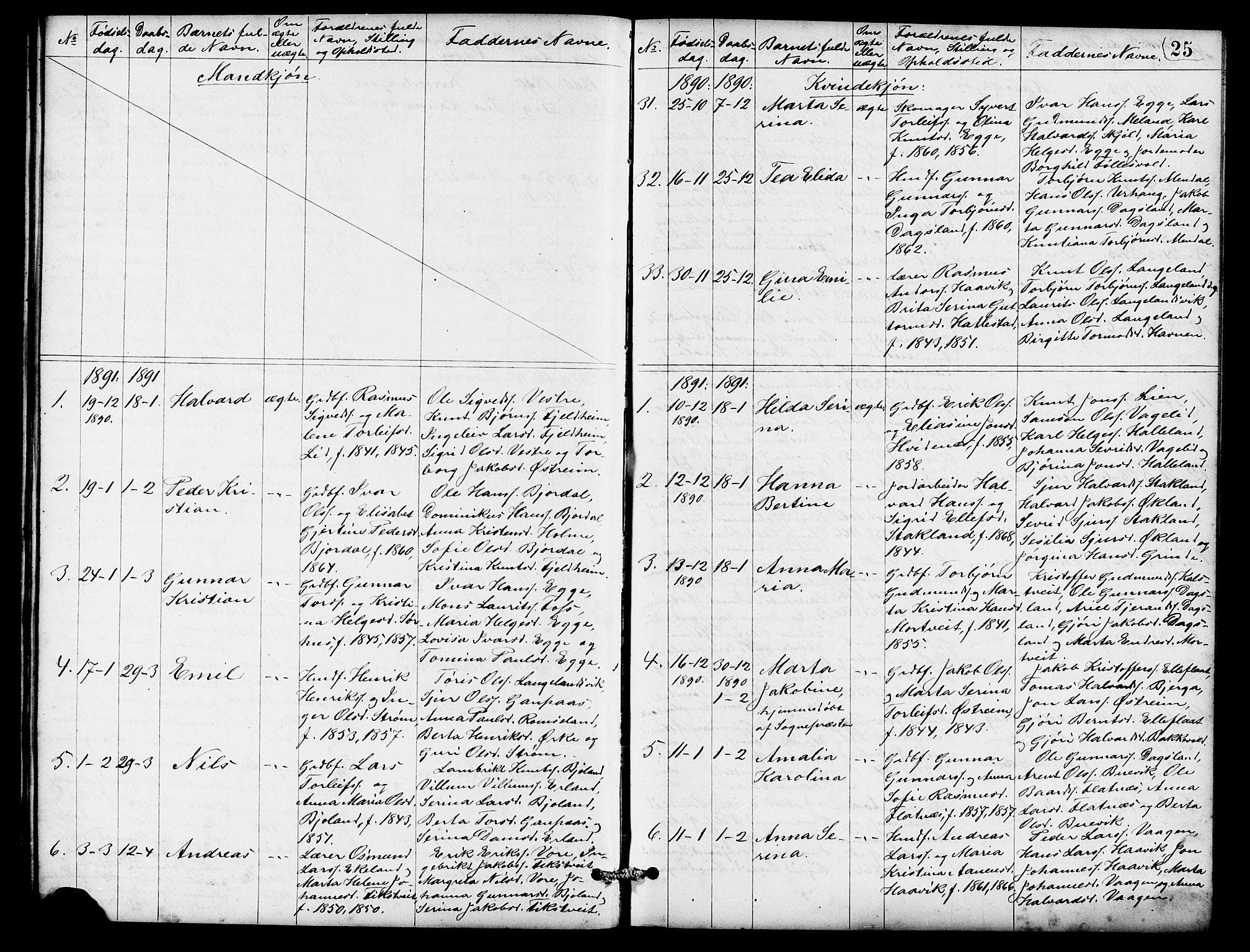 Skjold sokneprestkontor, SAST/A-101847/H/Ha/Hab/L0007: Klokkerbok nr. B 7, 1885-1906, s. 25