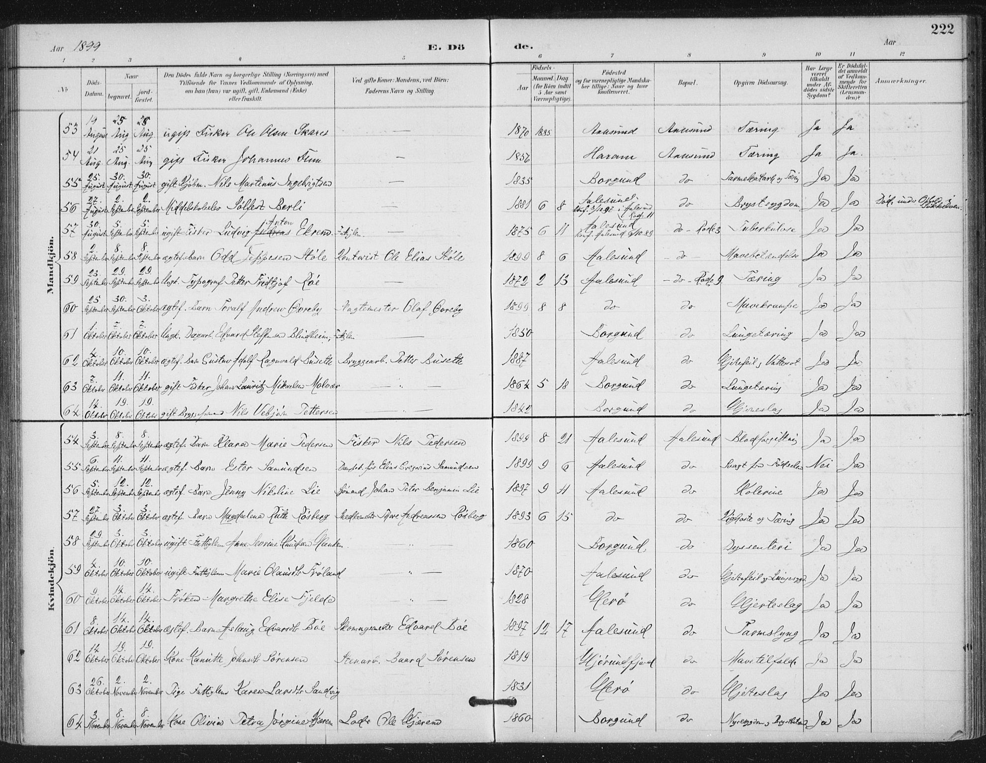 Ministerialprotokoller, klokkerbøker og fødselsregistre - Møre og Romsdal, AV/SAT-A-1454/529/L0457: Ministerialbok nr. 529A07, 1894-1903, s. 222