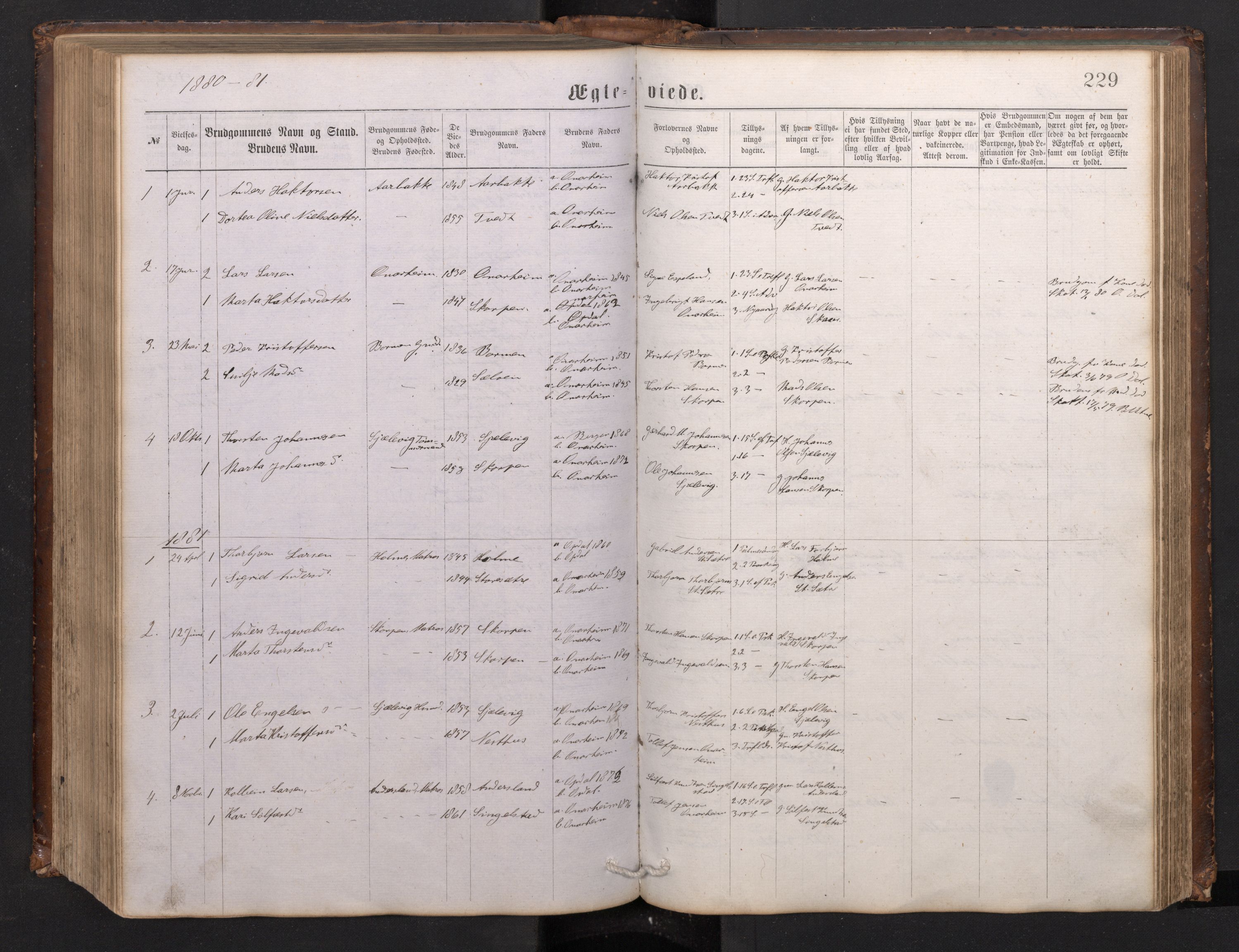 Tysnes sokneprestembete, AV/SAB-A-78601/H/Hab: Klokkerbok nr. C 1, 1873-1895, s. 228b-229a