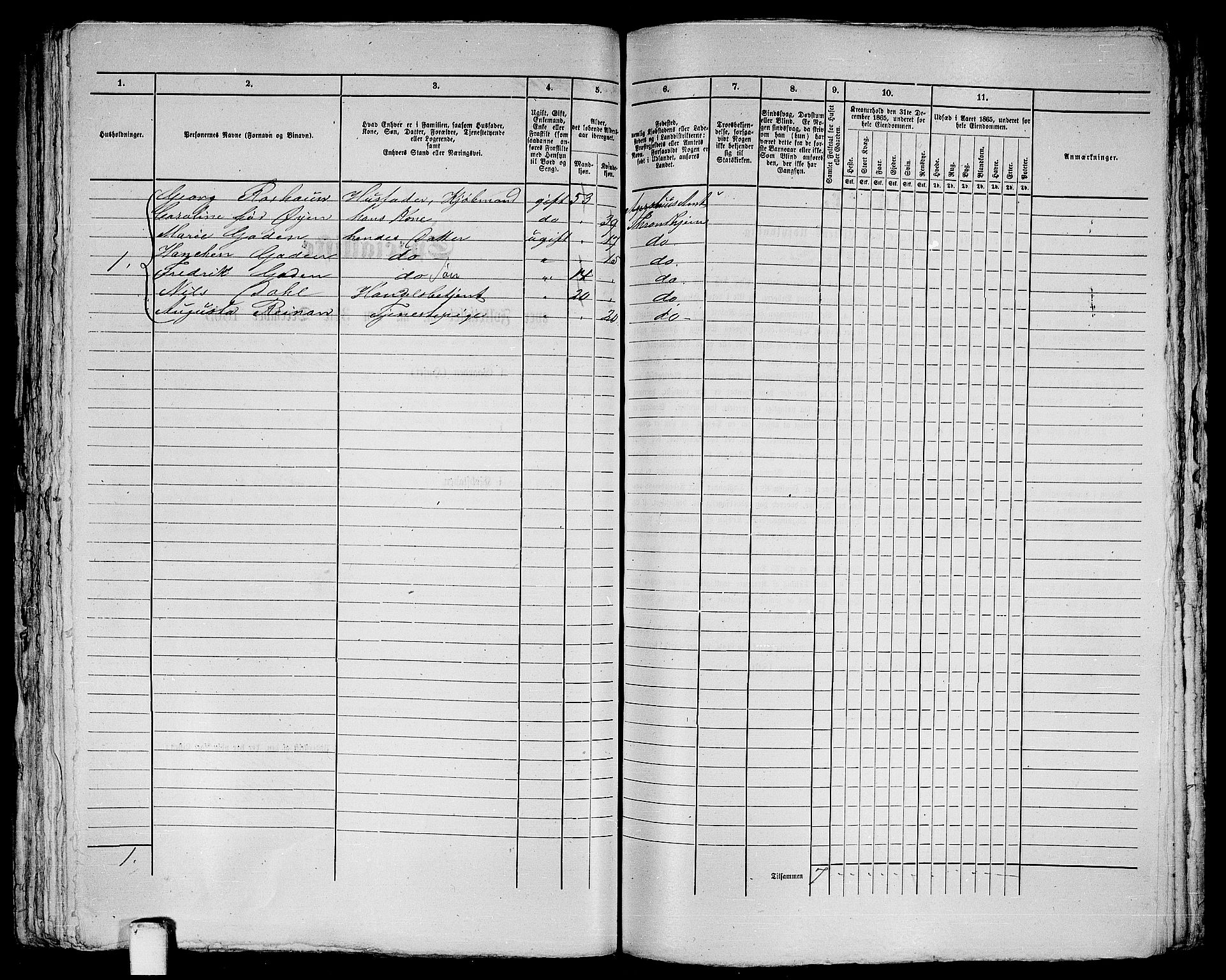 RA, Folketelling 1865 for 1601 Trondheim kjøpstad, 1865, s. 370